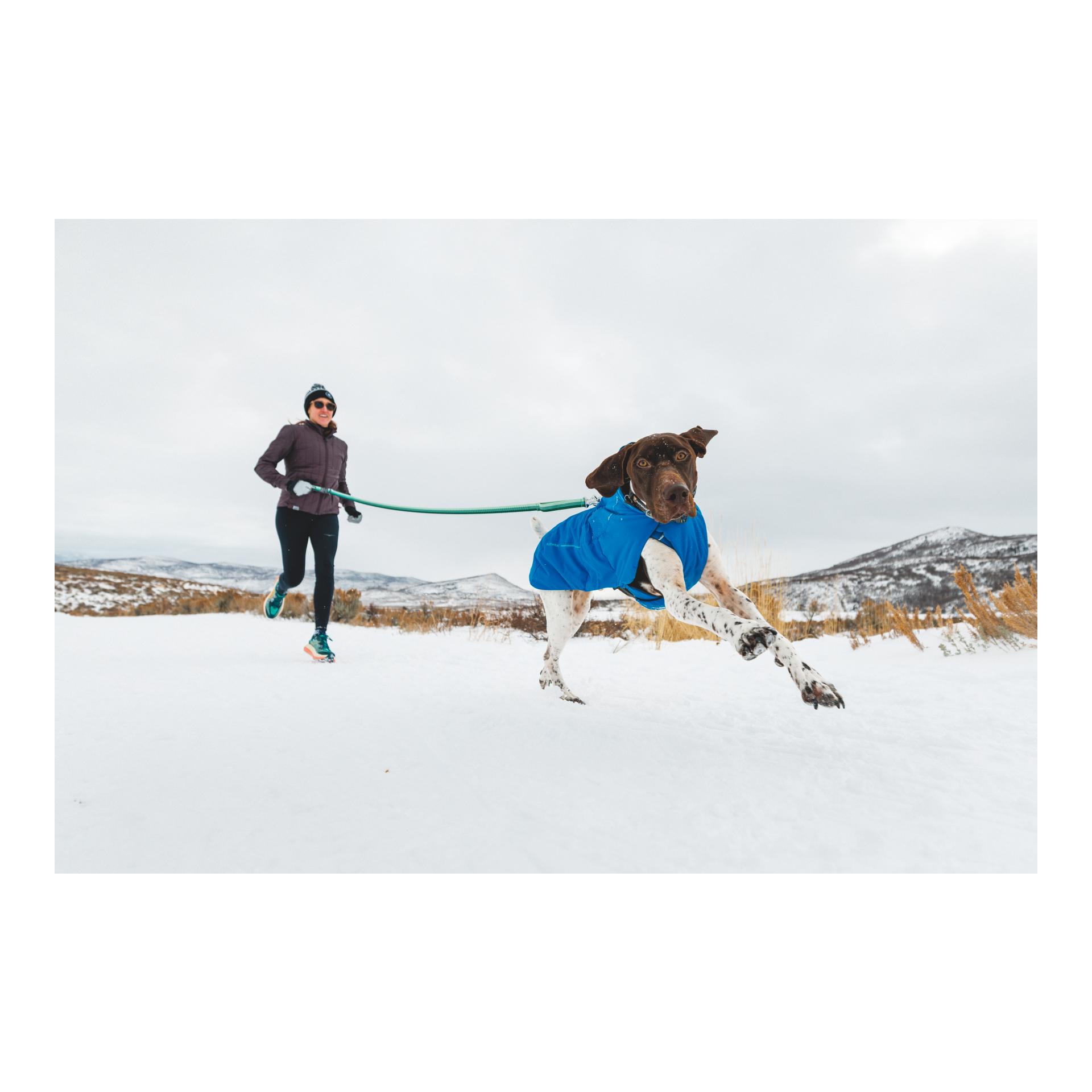 Ruffwear Manteau pour chien Vert Jacket