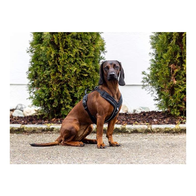 Kerbl Pet Hundegeschirr Dallas