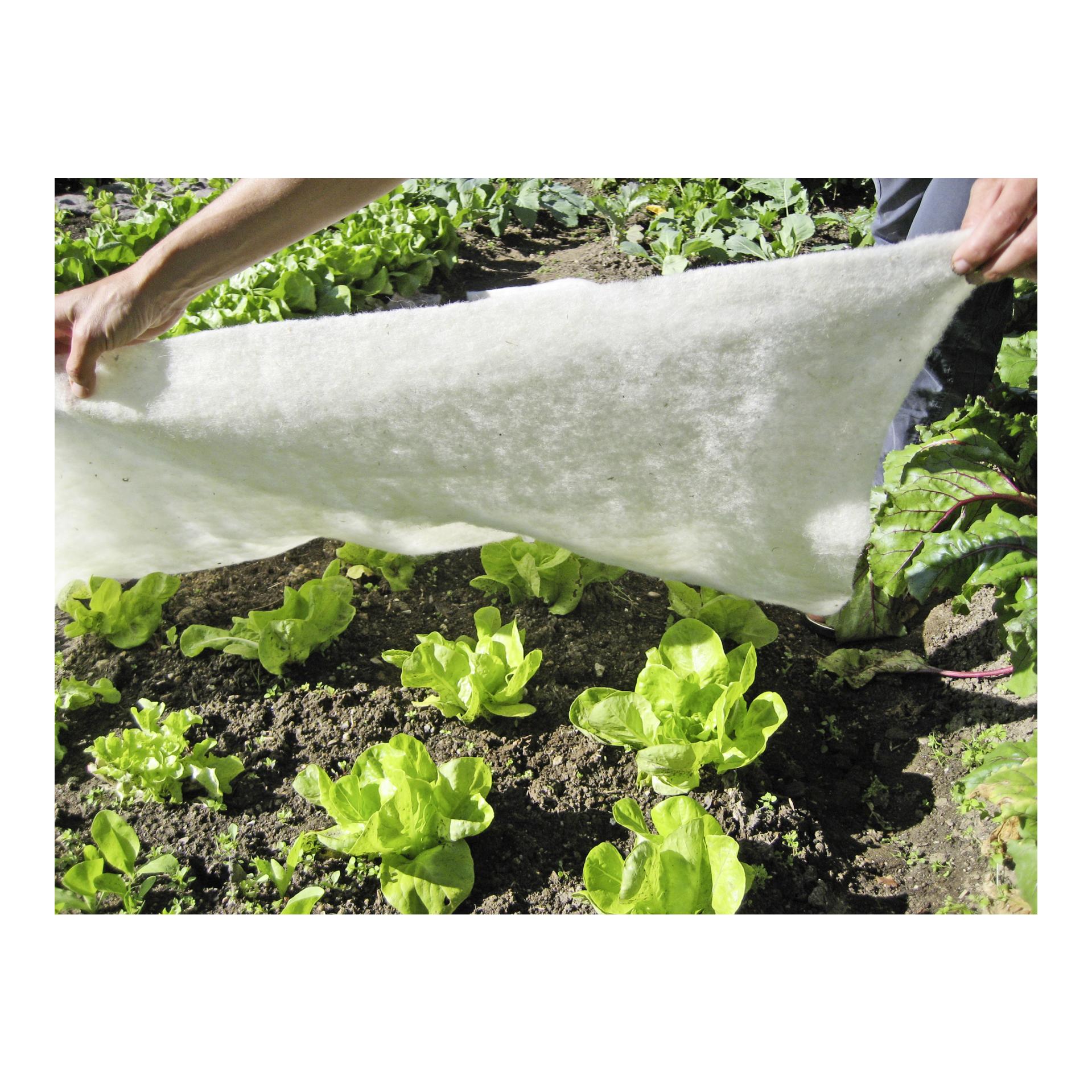 Windhager Schafwoll-Wachstumsmatte Greenline