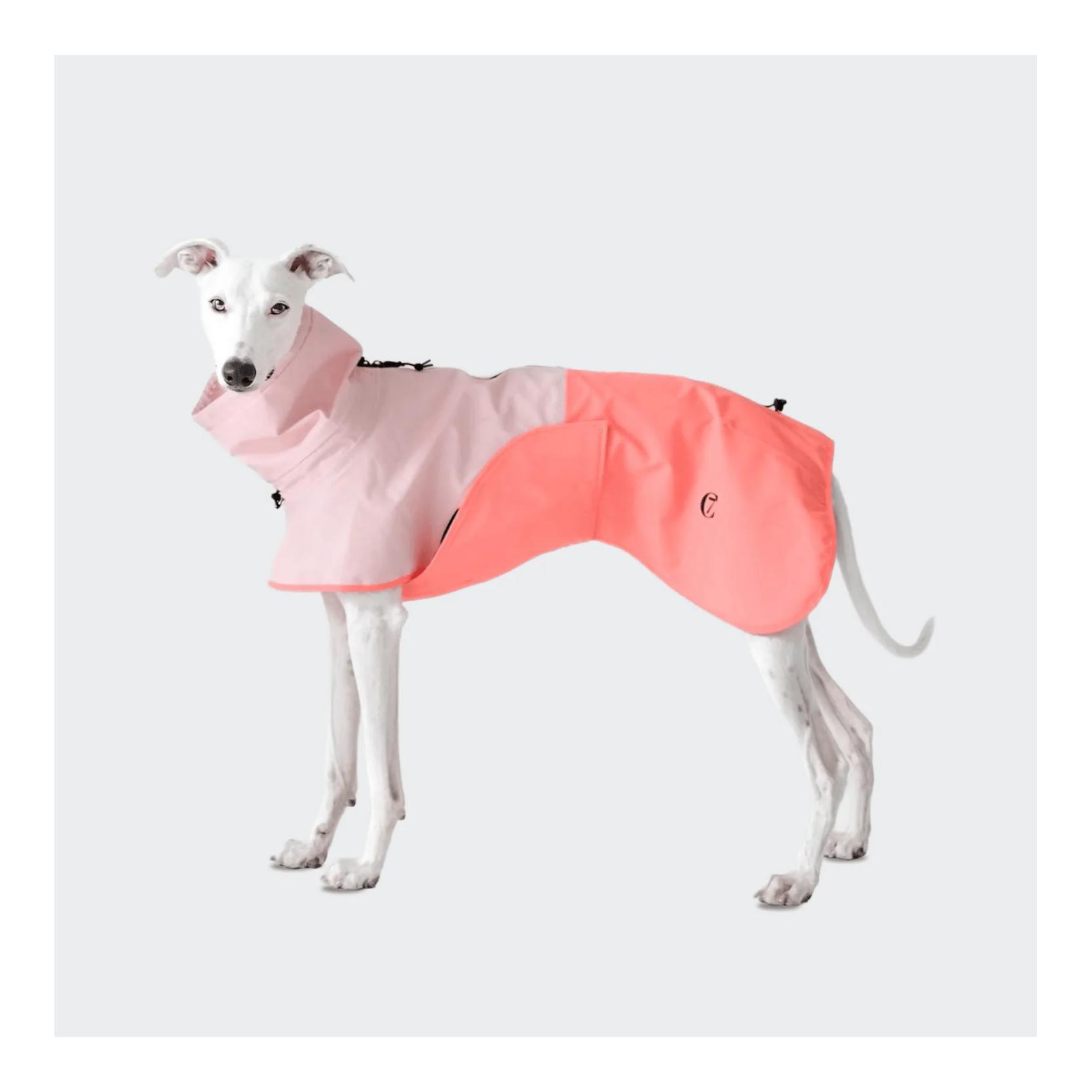 Cloud 7 Imperméable pour chiens Activ