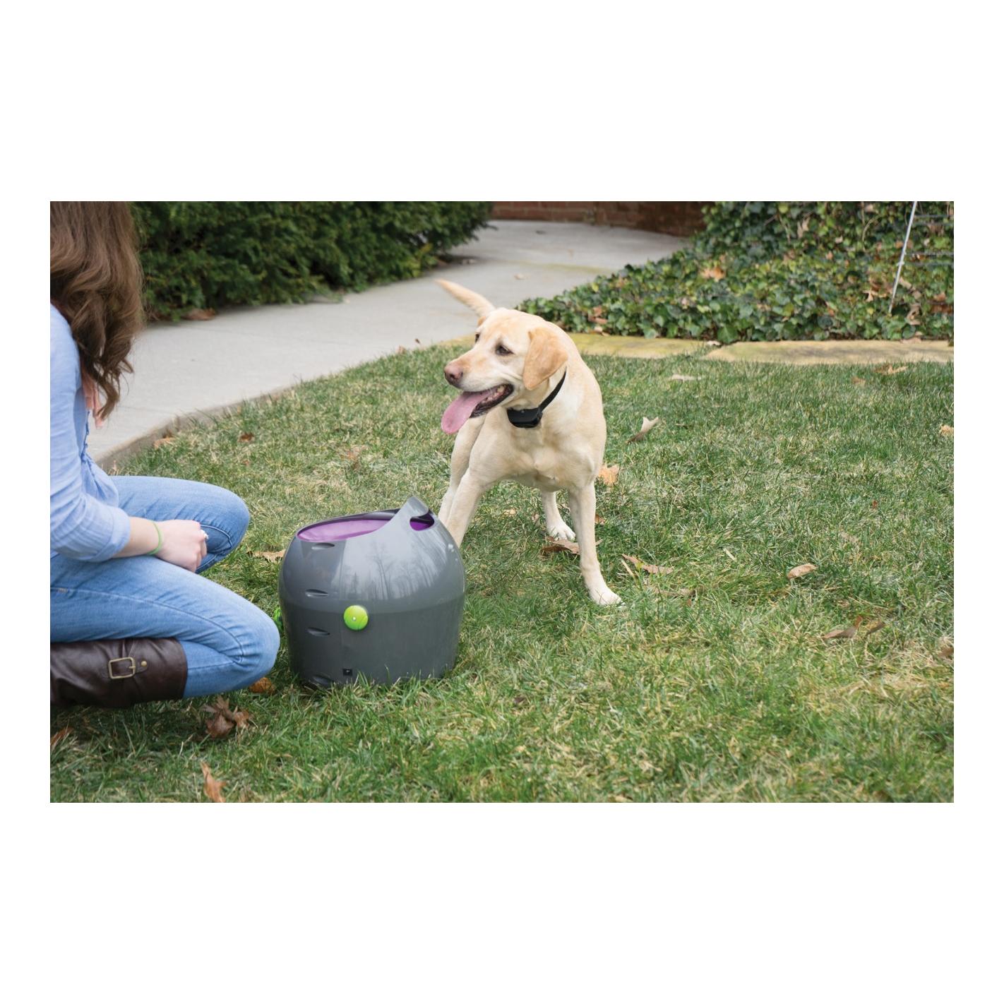 PetSafe Automatischer Ballwerfer