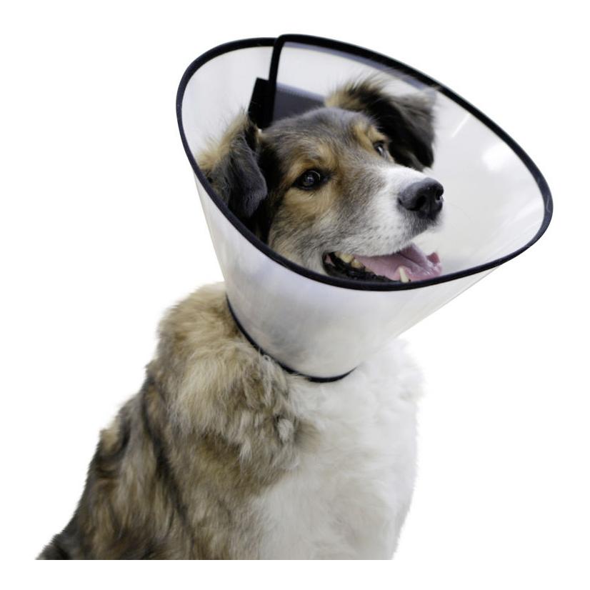 Kerbl Pet Hunde-Halskrause - halbtransparent
