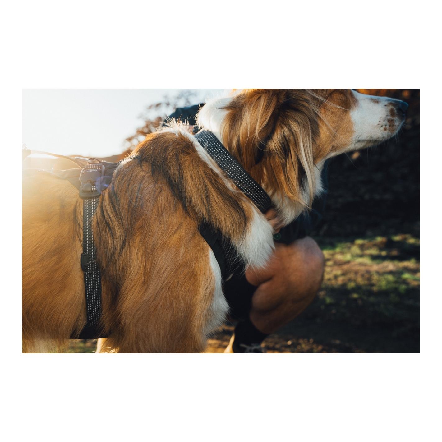 Ruffwear Ridgeline™ Collier de chien