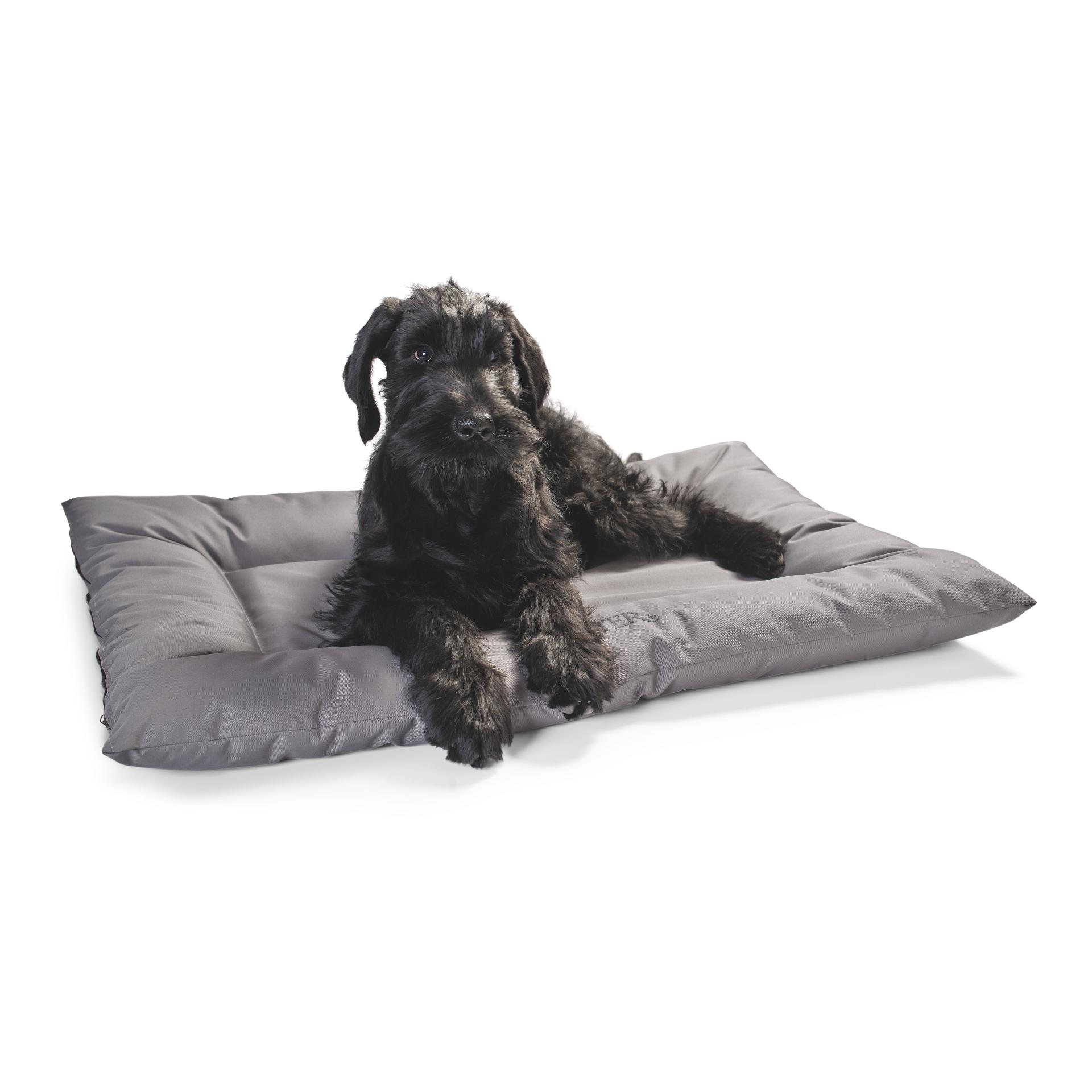 Hunter Lit pour chien Gent Antibactérien