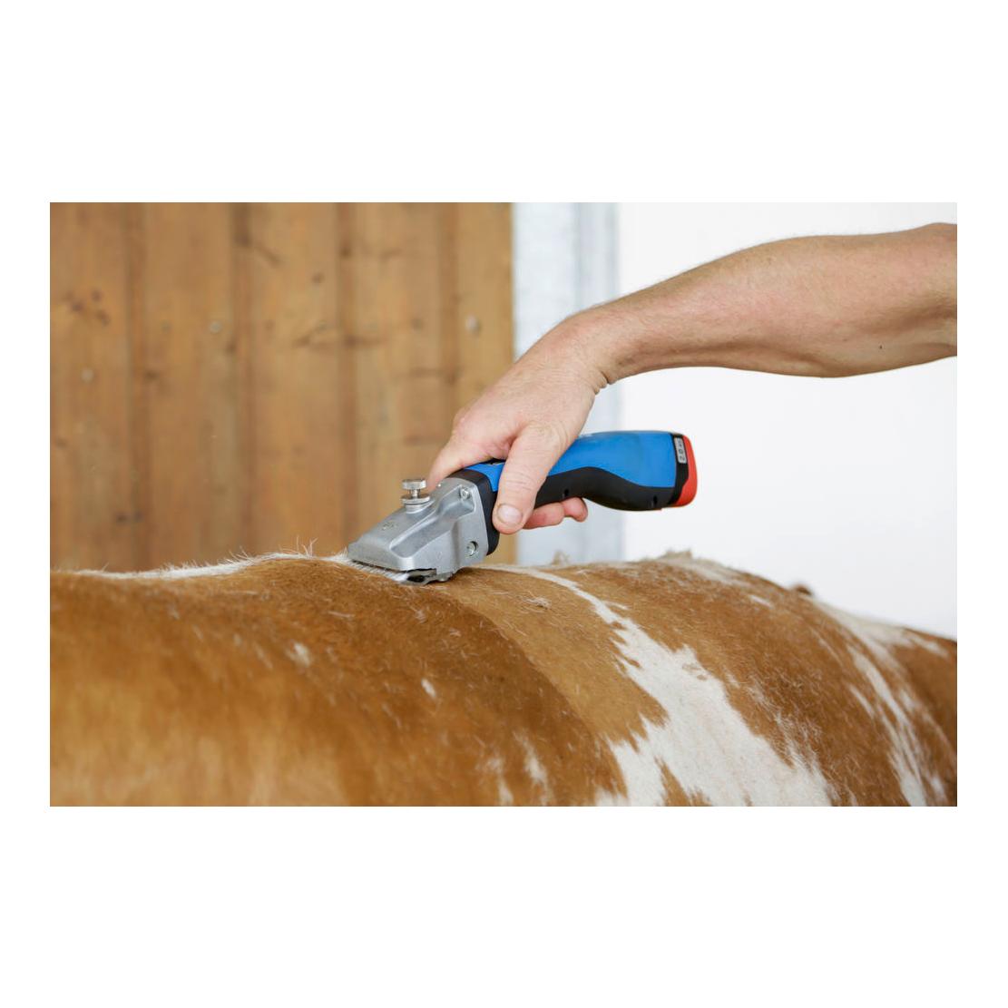 Aesculap Tondeuse sans fil Bonum Rind avec 1 batterie - bleu