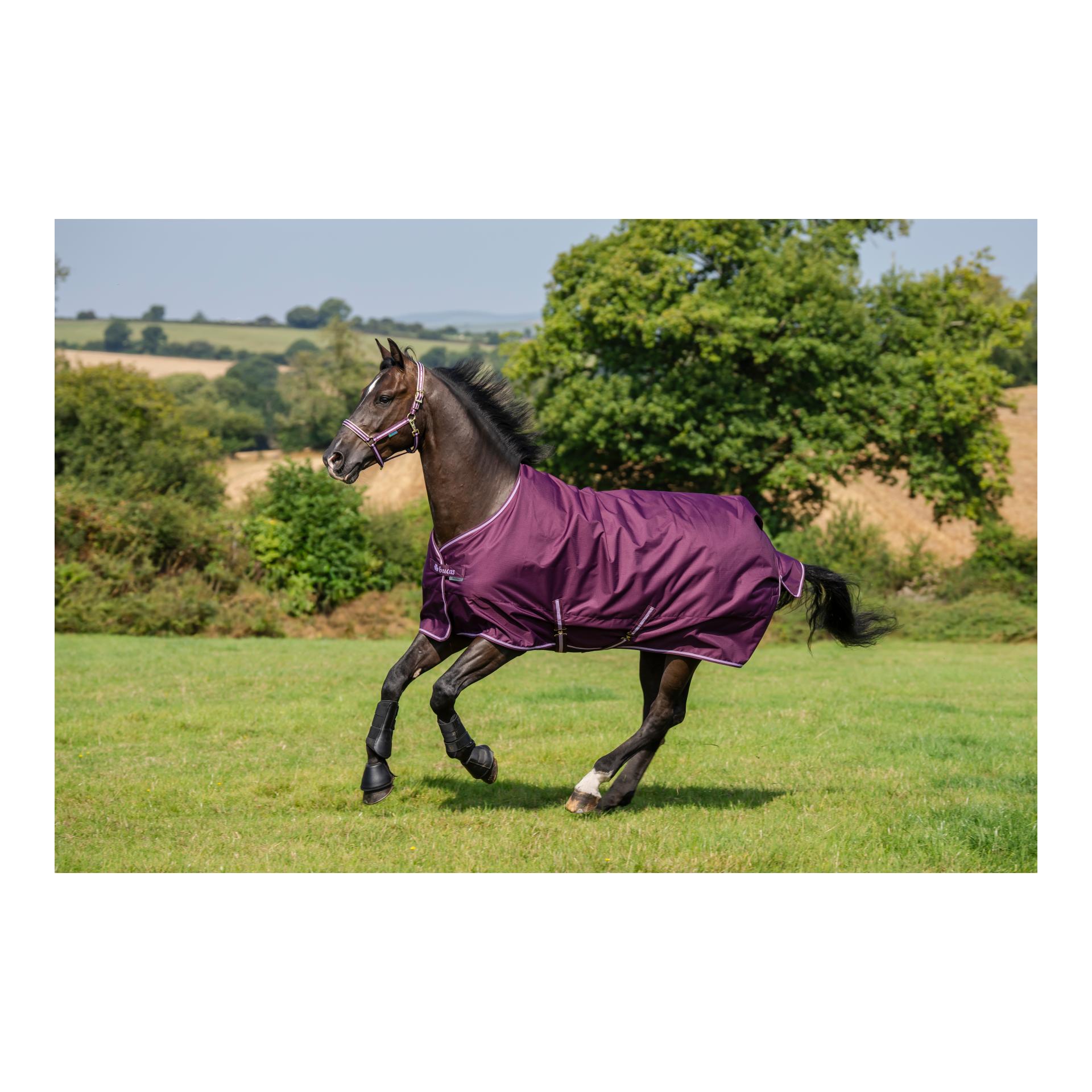 Bucas Weidedecke Freedom Turnout 50g