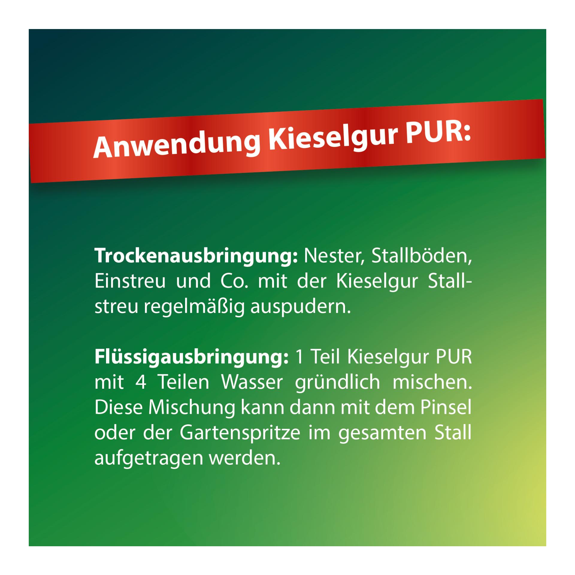 Röhnfried Kieselgur PUR