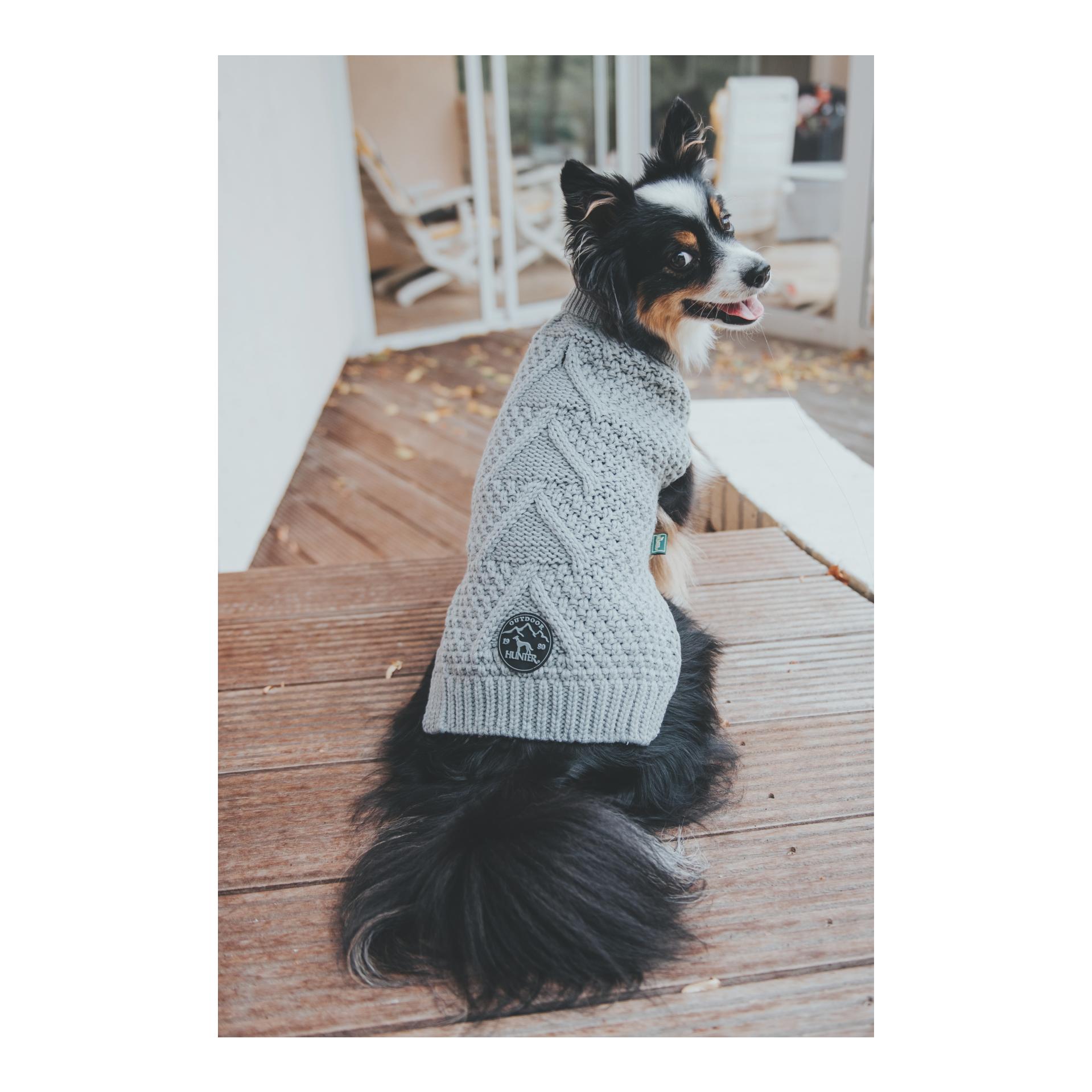 Hunter Pullover pour chien Malmö - gris