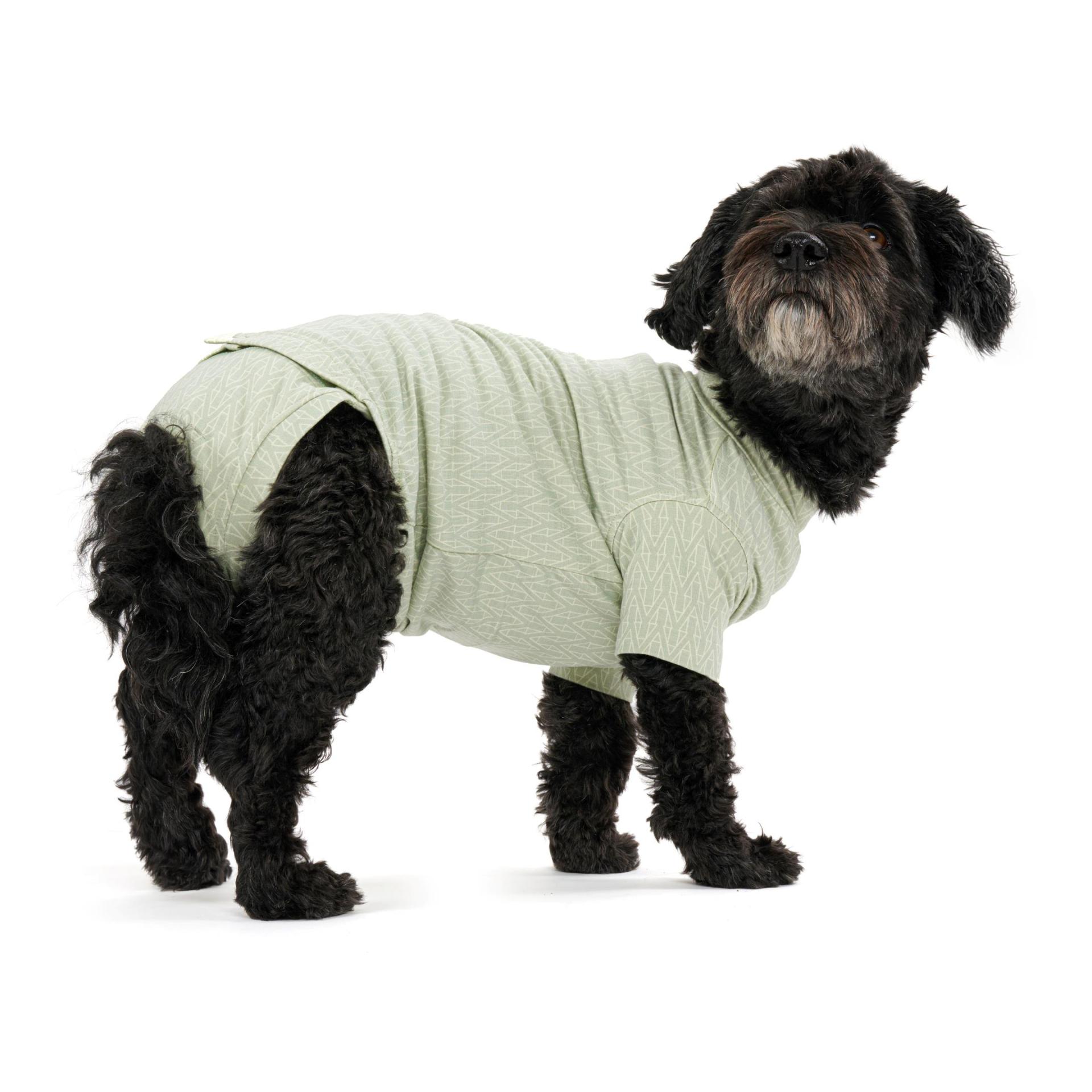Kruuse Body pour chiens