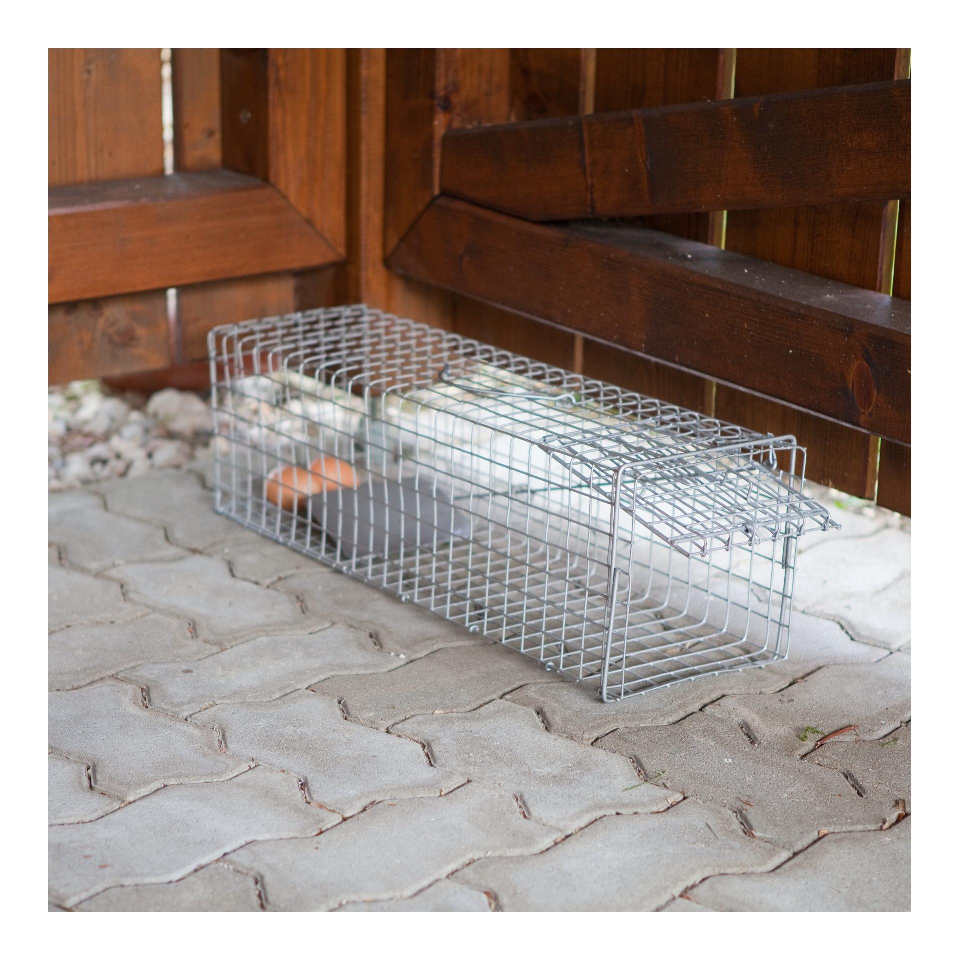 Windhager Piège à martres avec cage grillagée galvanisée