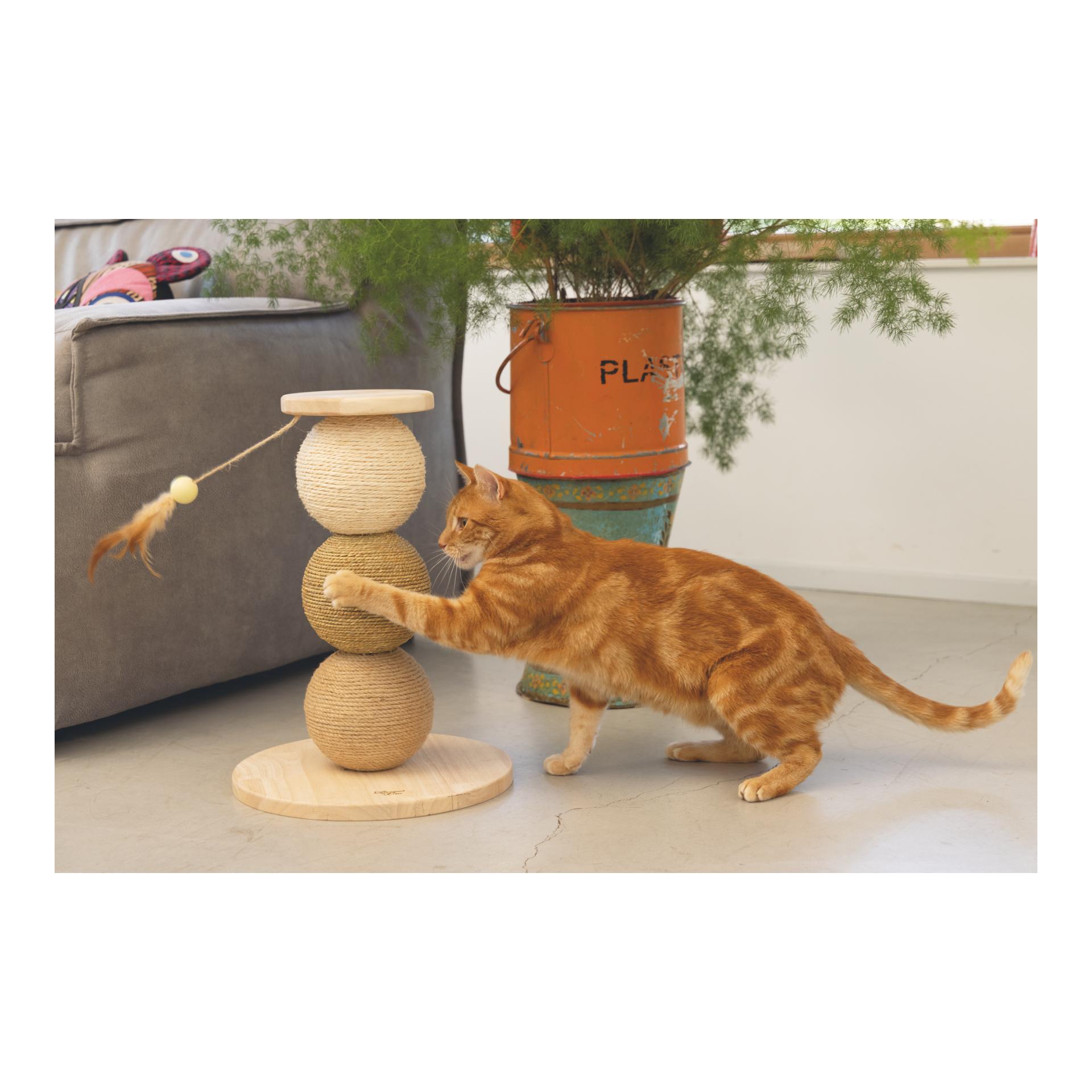 TRIXIE Balles à gratter en bois Elio