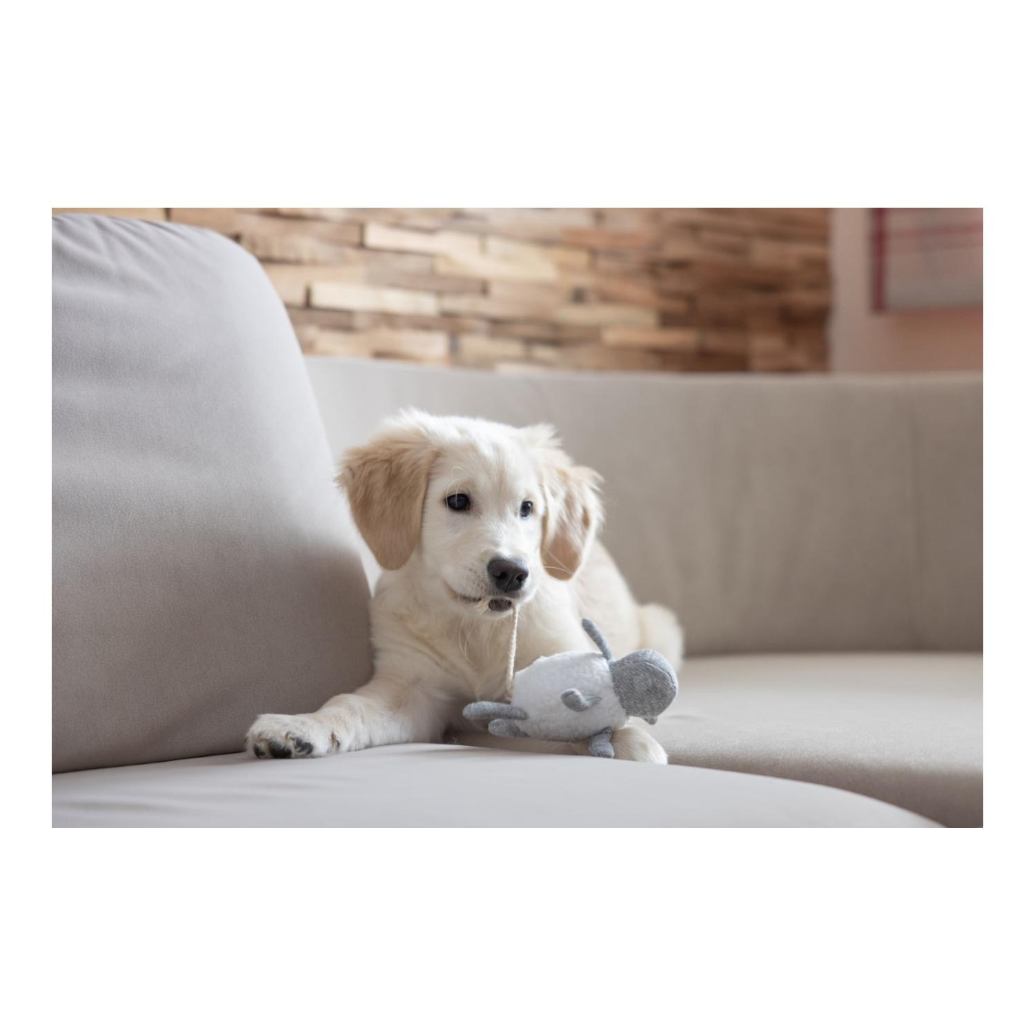 Kerbl Pet Jouet pour chiots Lapin