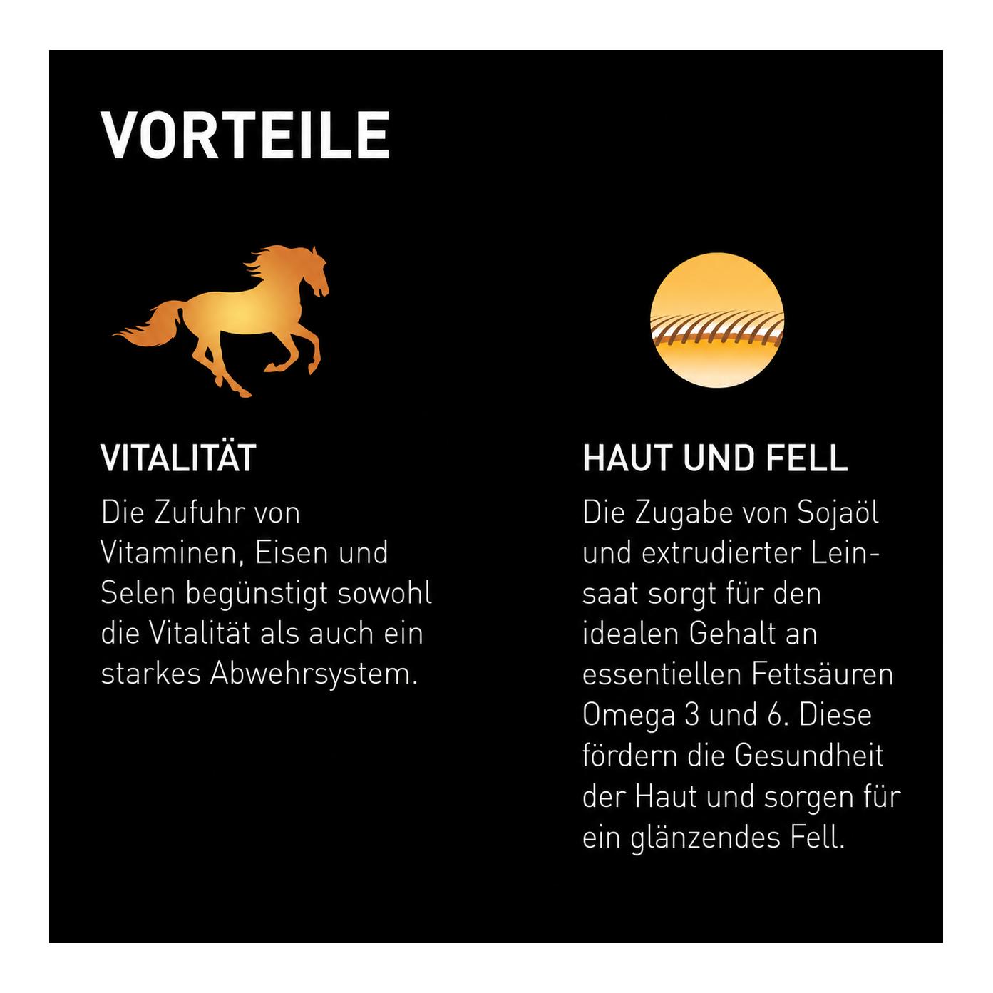 granovit Cavallo Corn-Mix avec avoine – Aliment pour chevaux de sport & de loisir, granulés et flocons