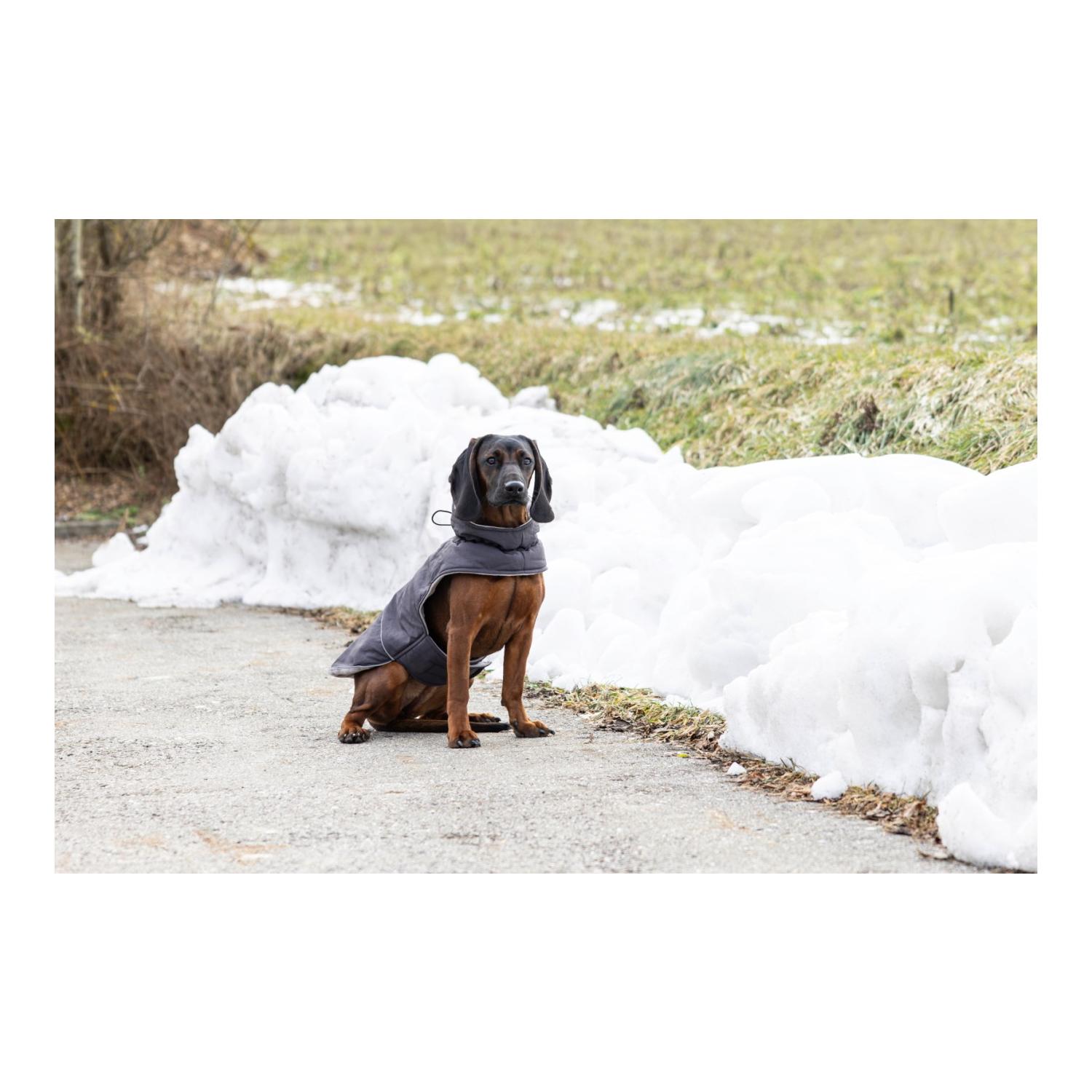 Kerbl Pet Manteau pour chien Montreal