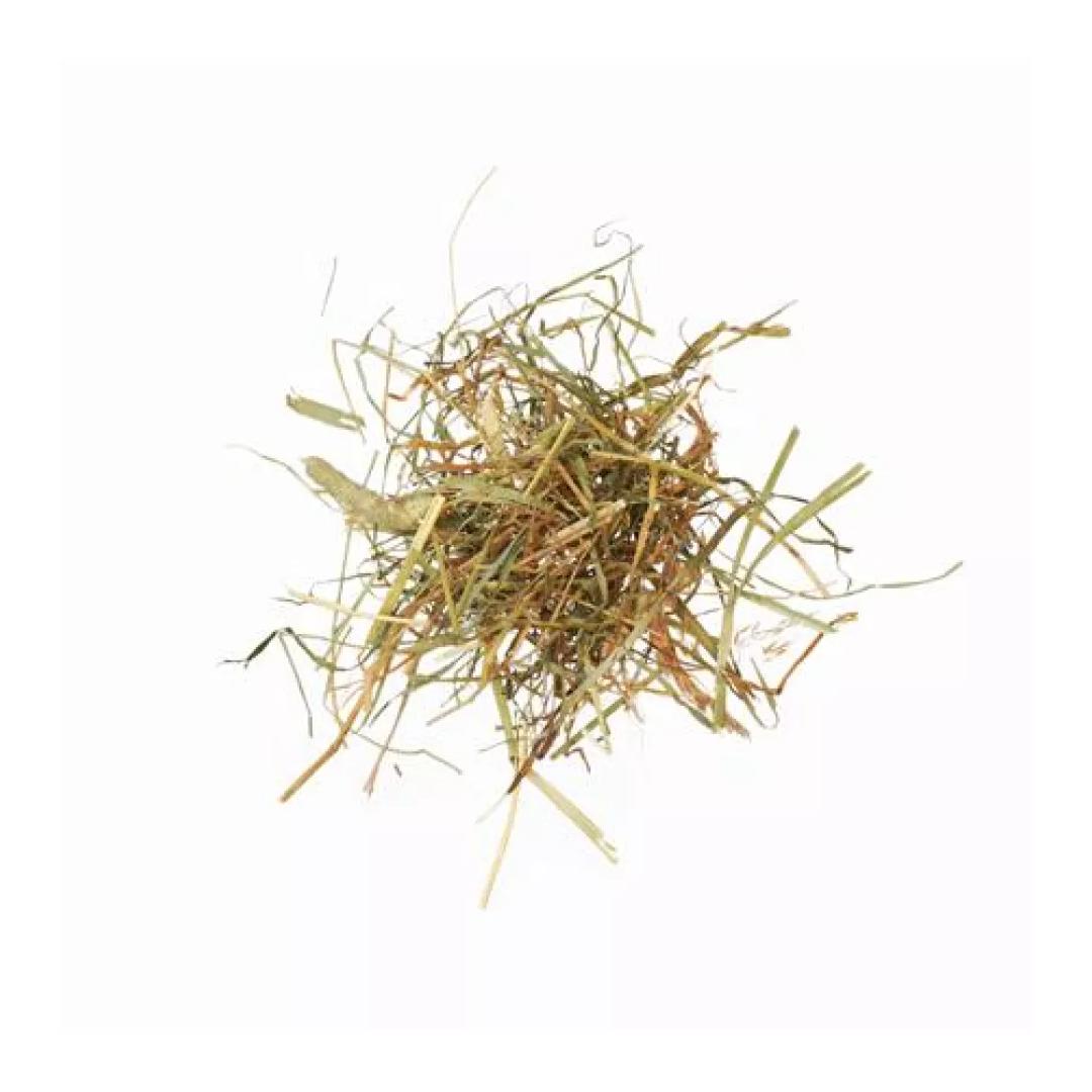 Agrobs Foin des Alpes