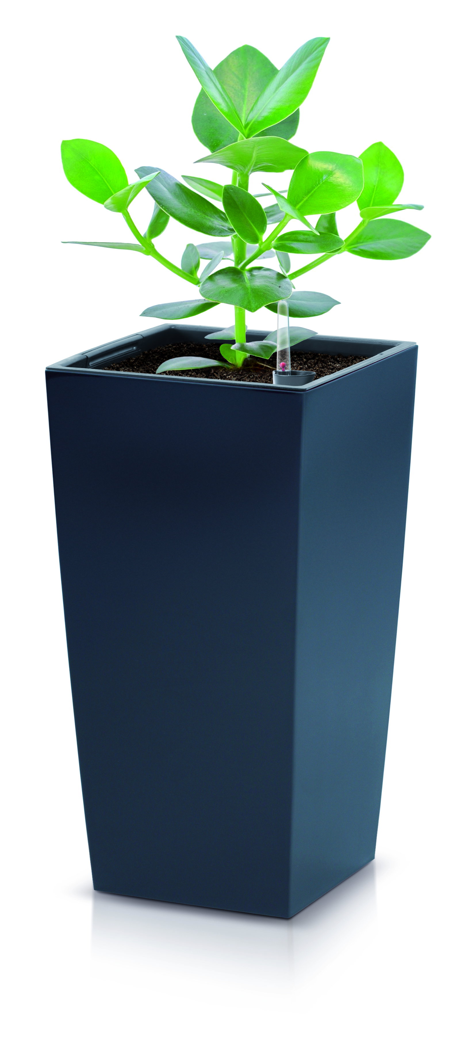 Prosperplast Pot de fleurs Urbi