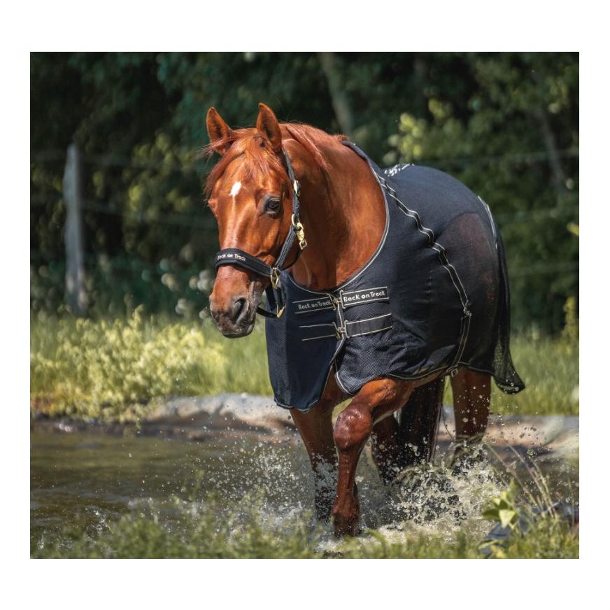 Back on Track Cooler - Decke Sienna - schwarz
