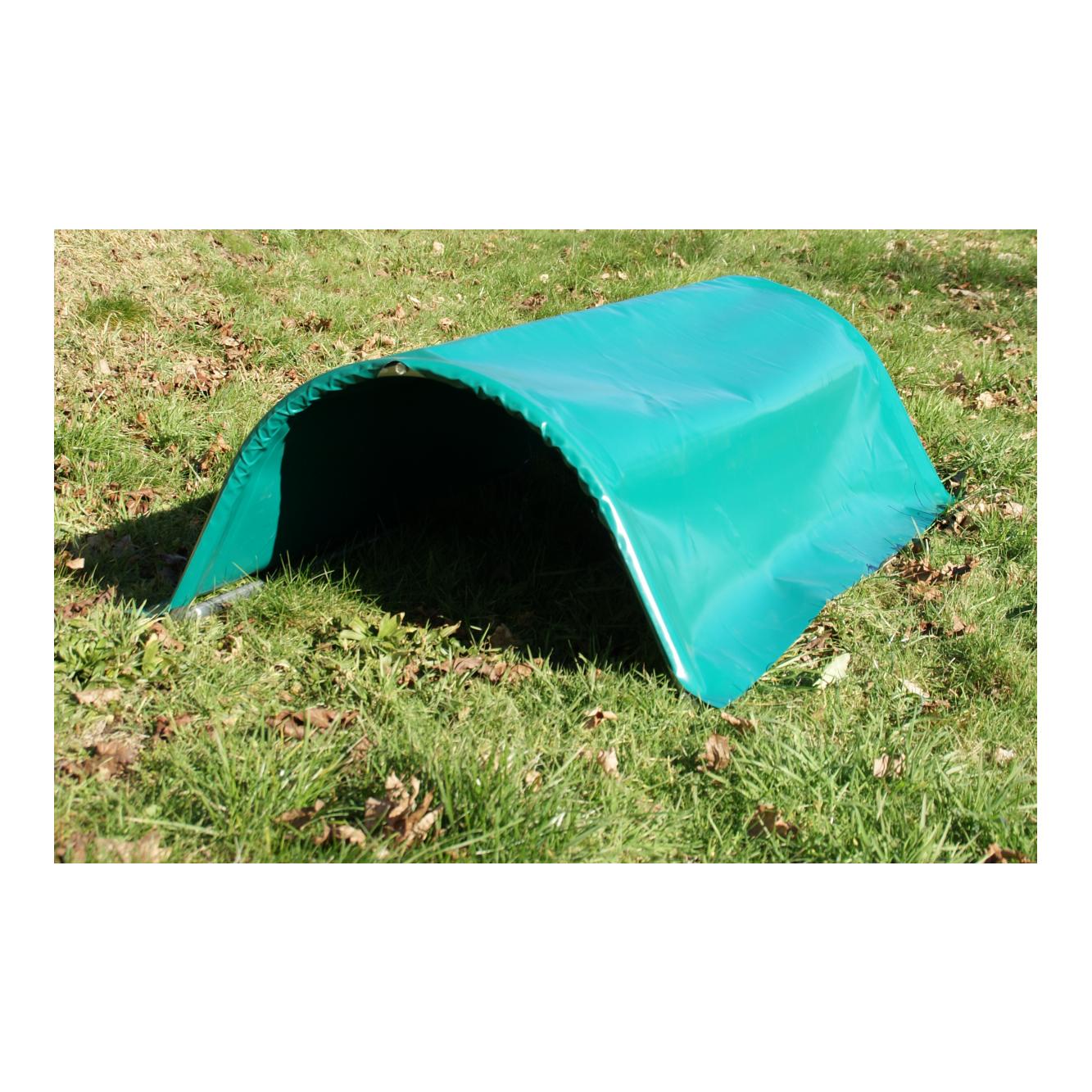 Mainer Tunnel pour les poules