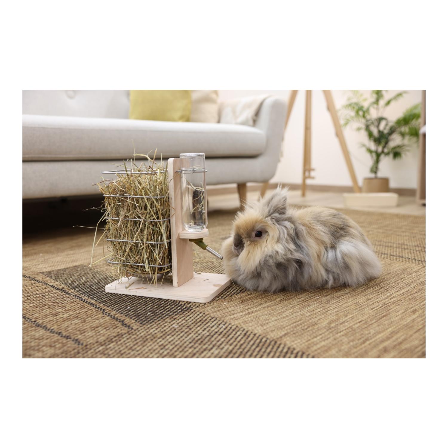 Kerbl Pet Trink- und Fressstation