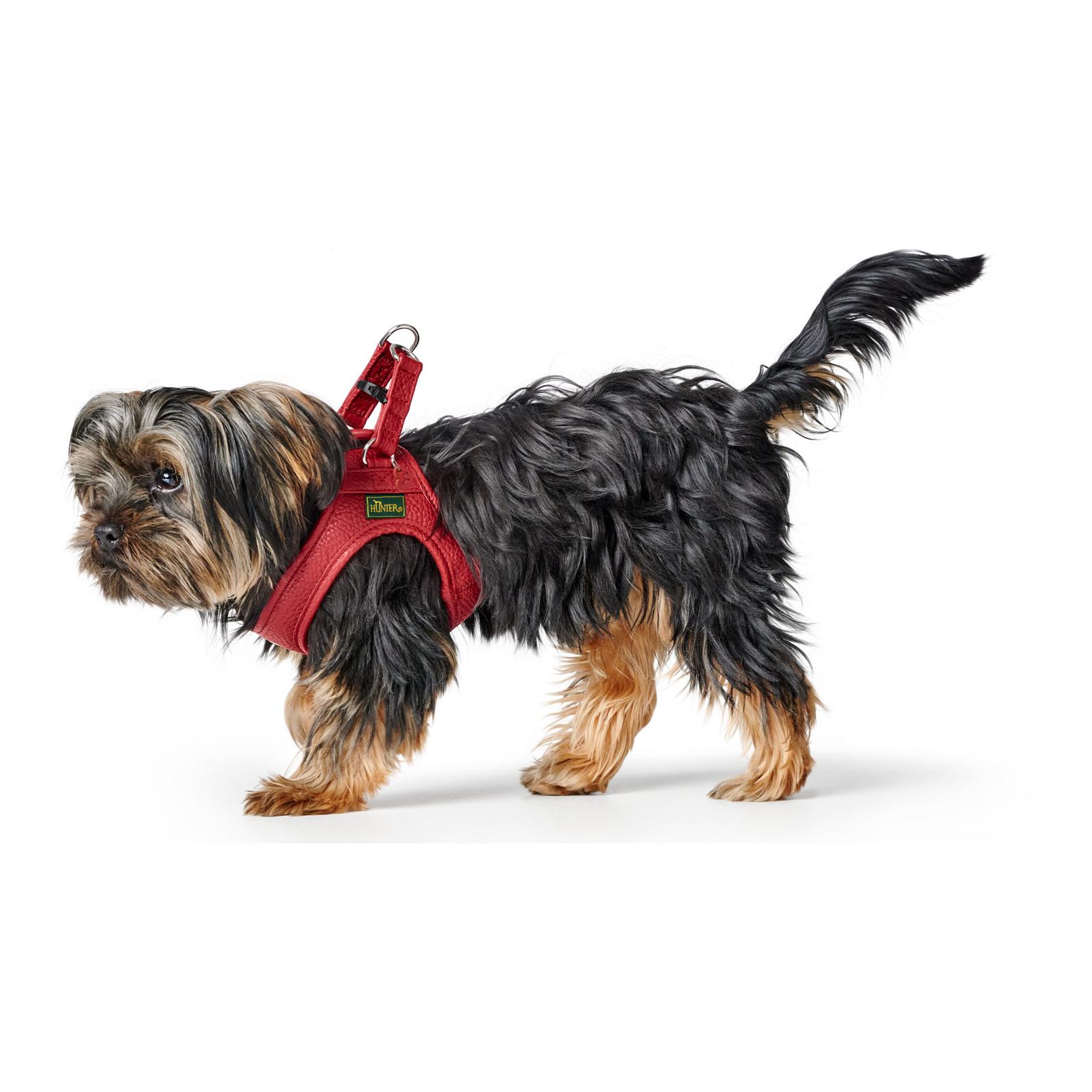 Hunter Harnais pour chien Love