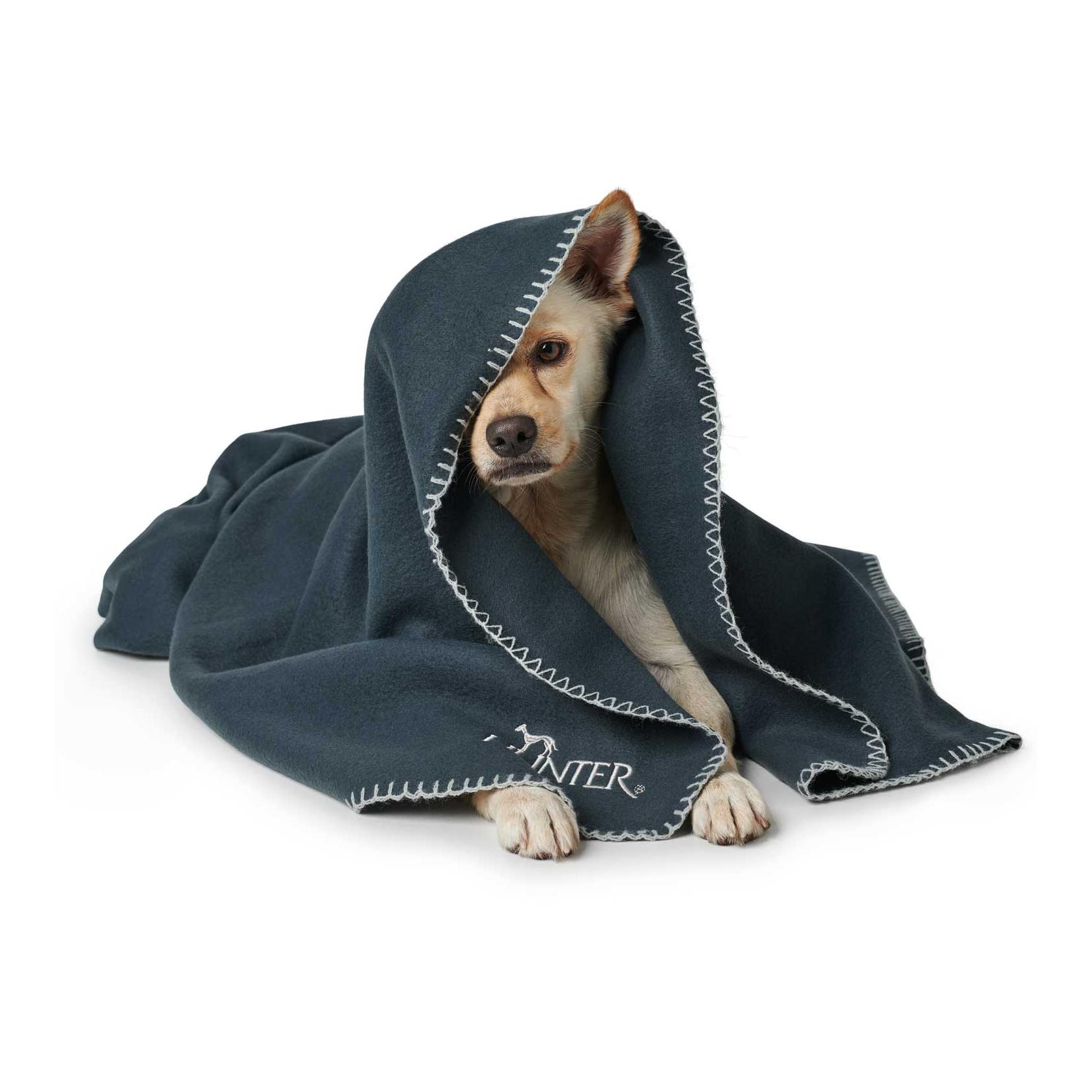 Hunter Hundedecke Casper