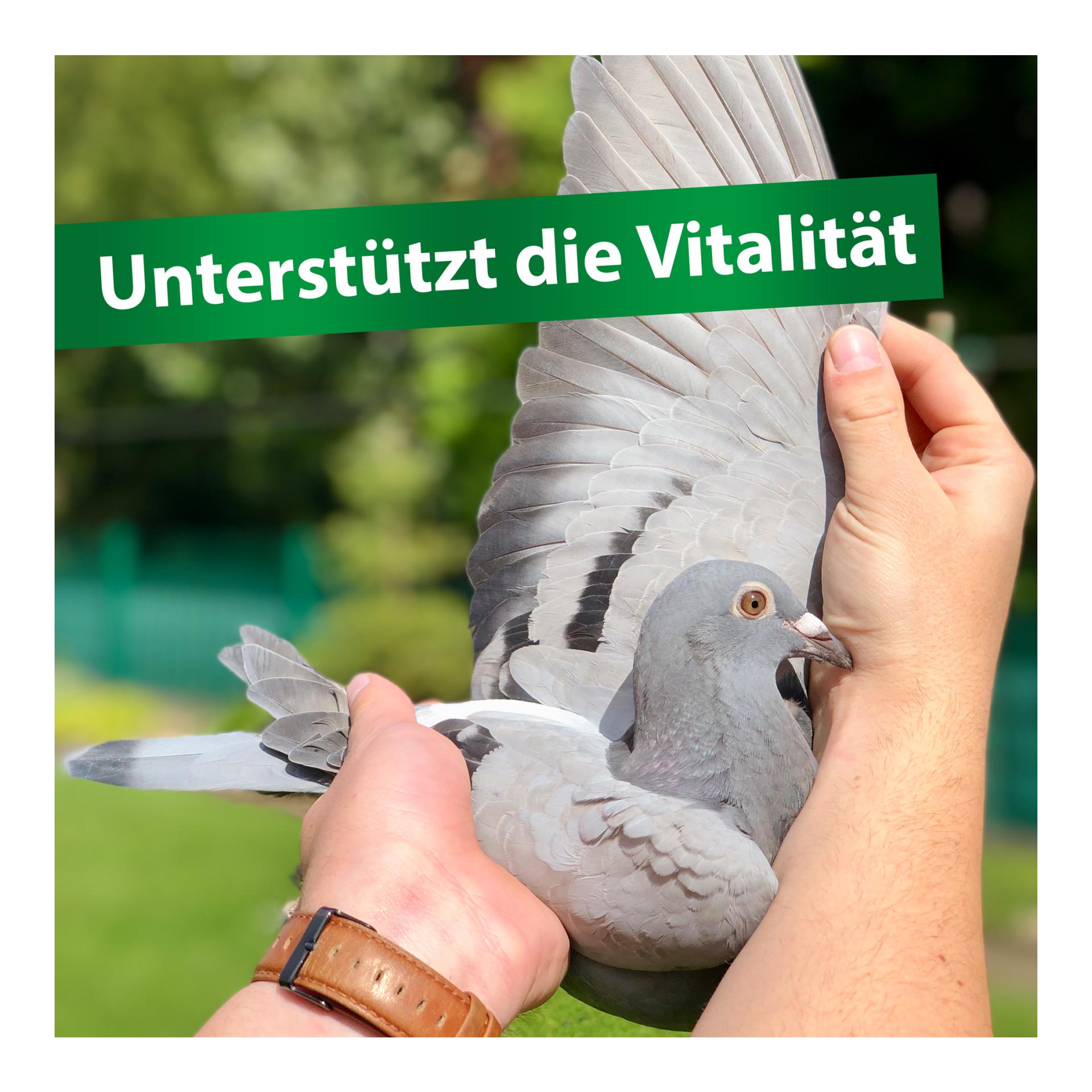 Röhnfried Avidress Plus - Trinkwasserhygiene und Trichomonadenvorbeuge