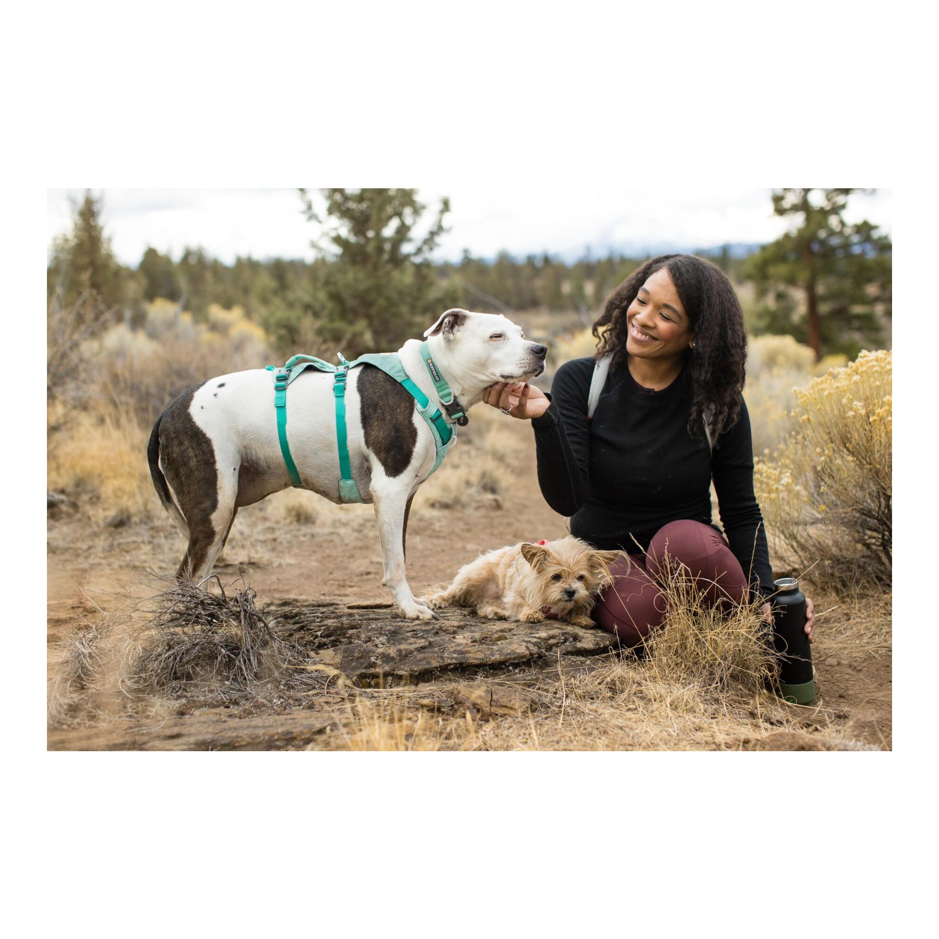 Ruffwear Flagline™ Hundegeschirr