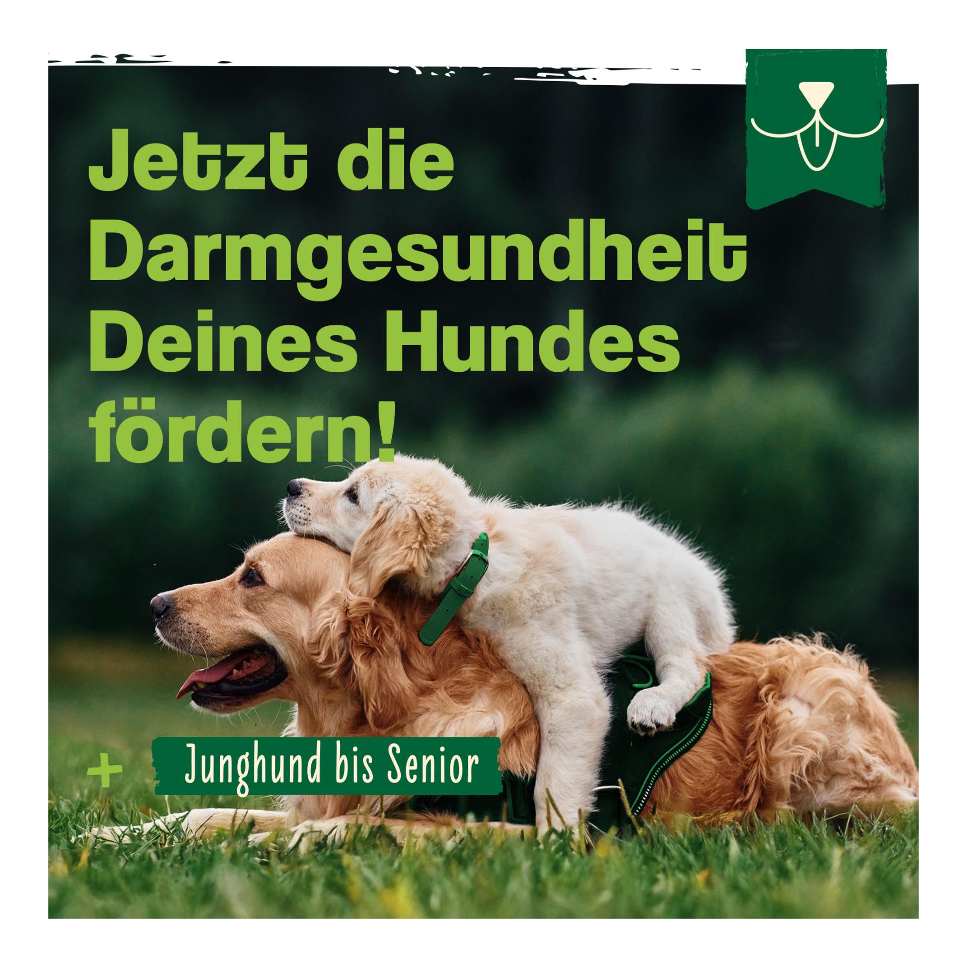 IdaPlus Argile - Complément alimentaire pour chats
