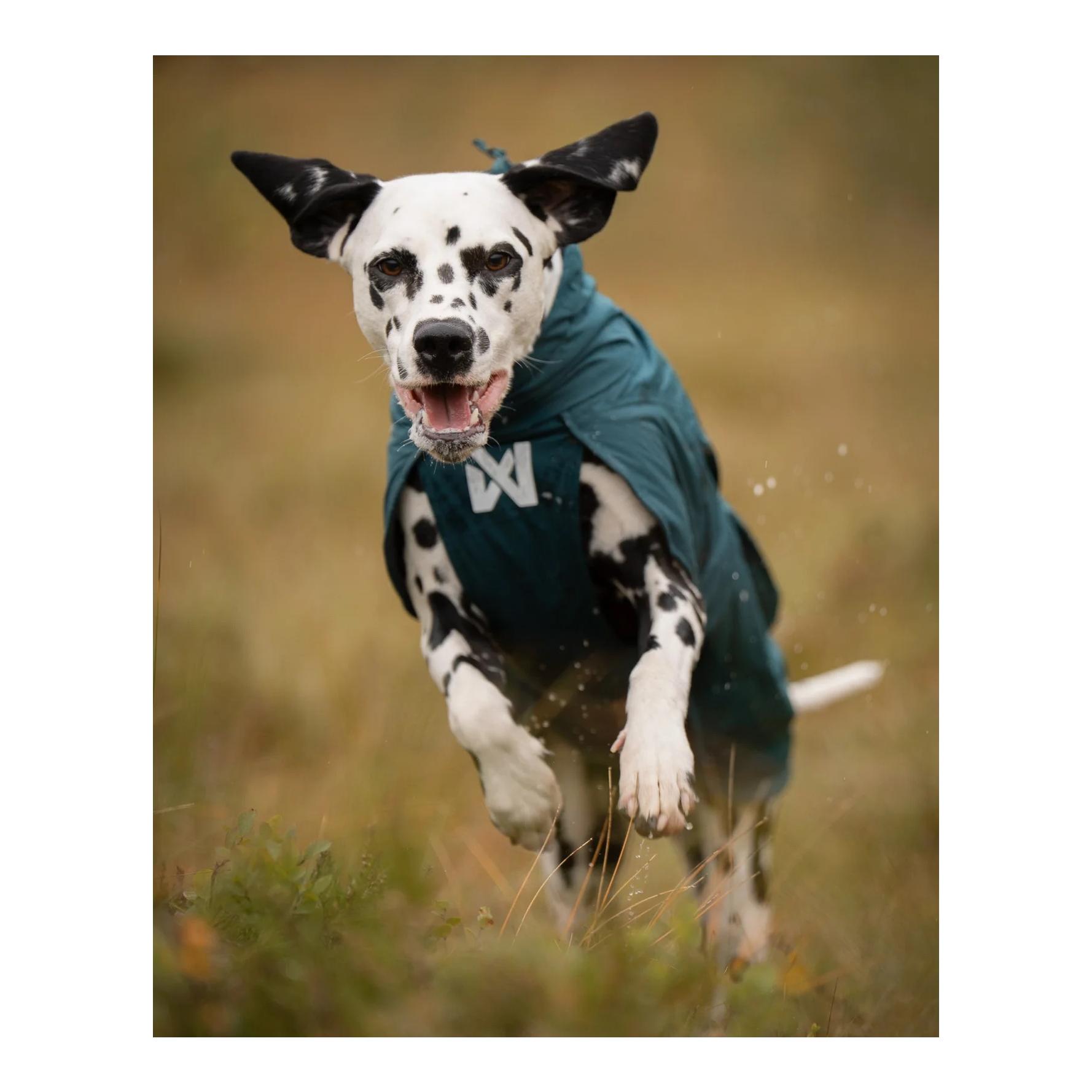 Non-stop Dogwear Fjord lined Regenmantel