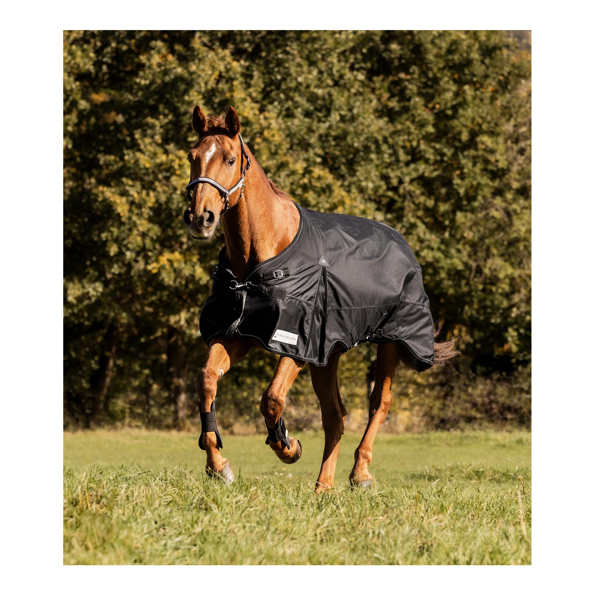 Waldhausen Weidedecke Scandic, 100g
