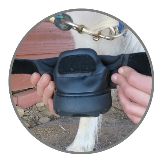 Easyboot Mini Hufschuh