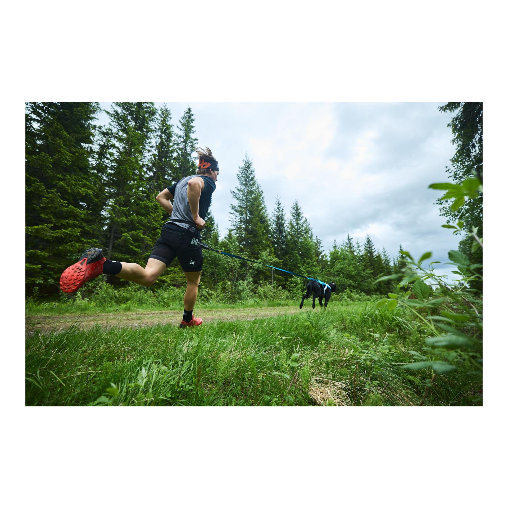 Non-stop Dogwear CaniX Belt pro - Canicross-Gurt für Running mit Hund