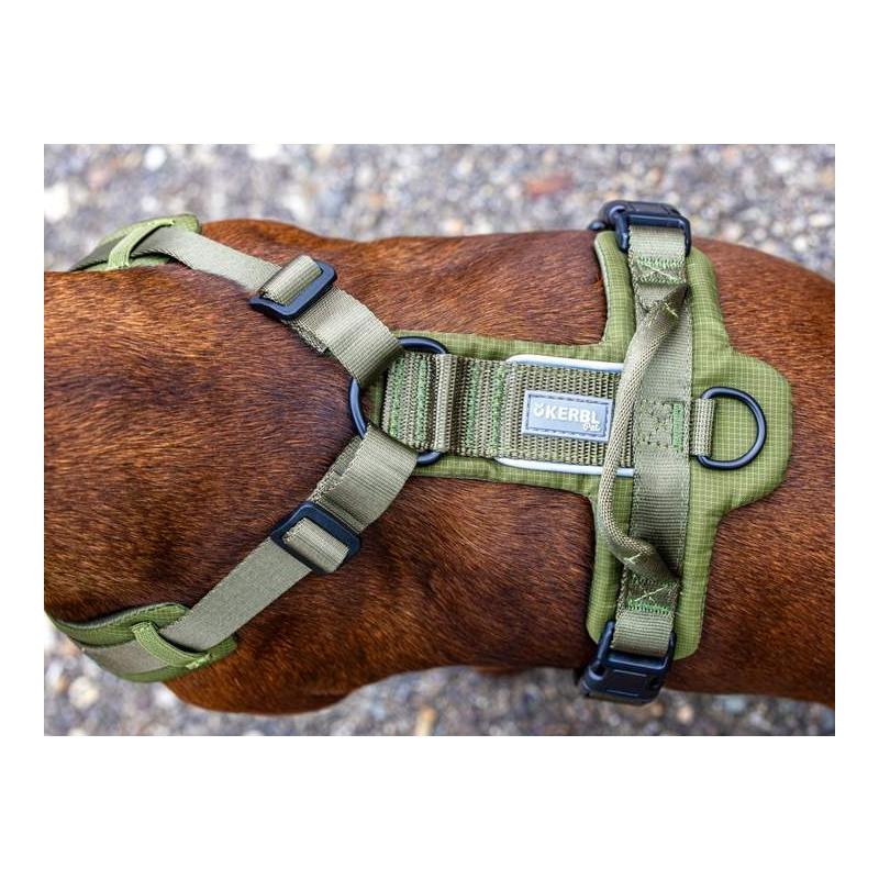 Kerbl Pet Harnais pour chien Dallas