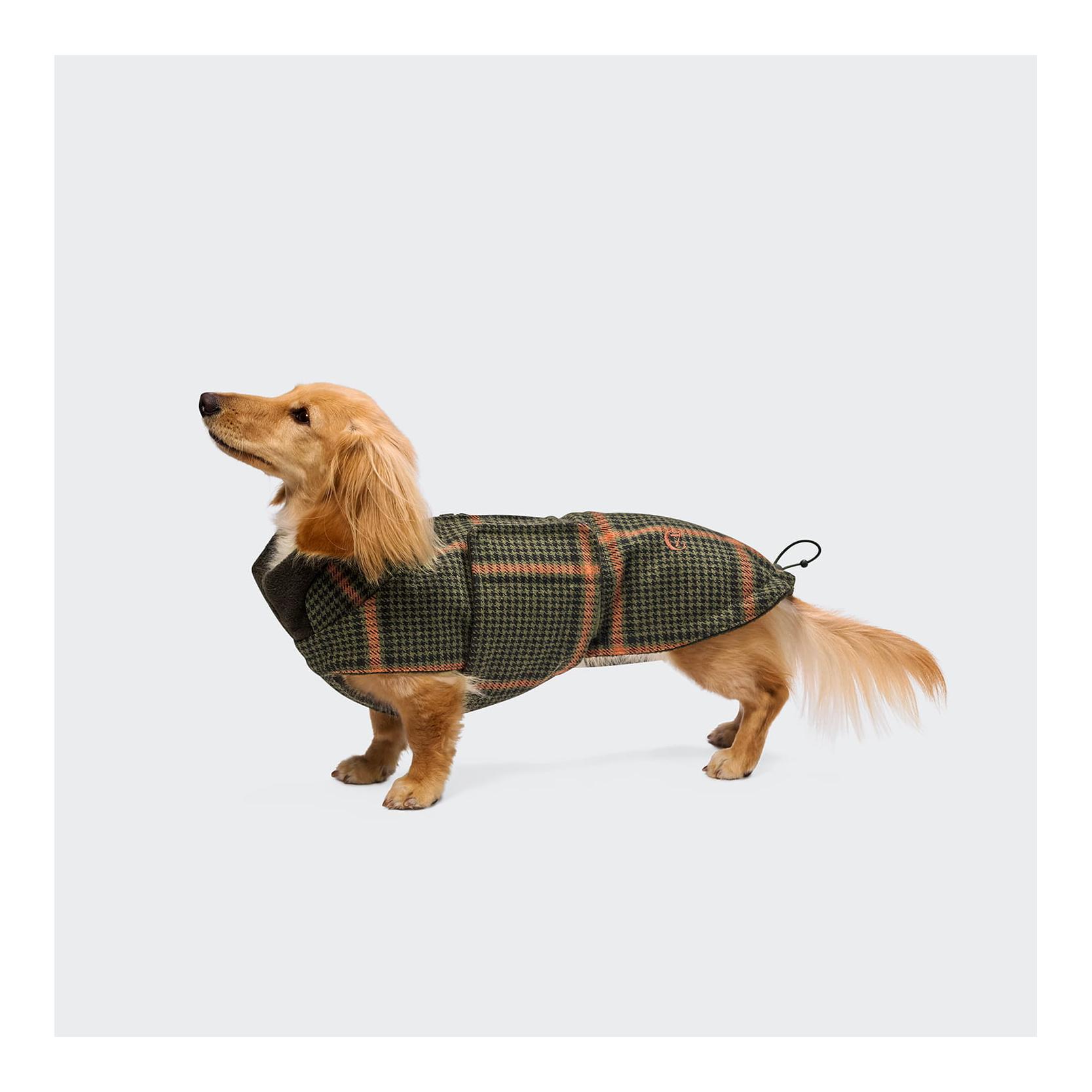 Cloud 7 Hundemantel Brooklyn Dackel