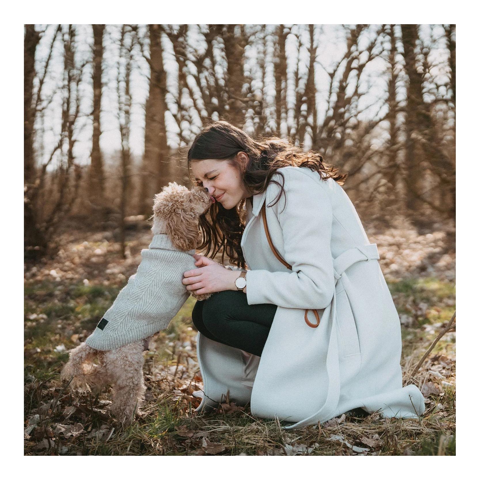 Hunter Pull pour chien Genève