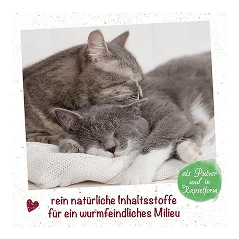 cdVet feliTATZ WK-Mix