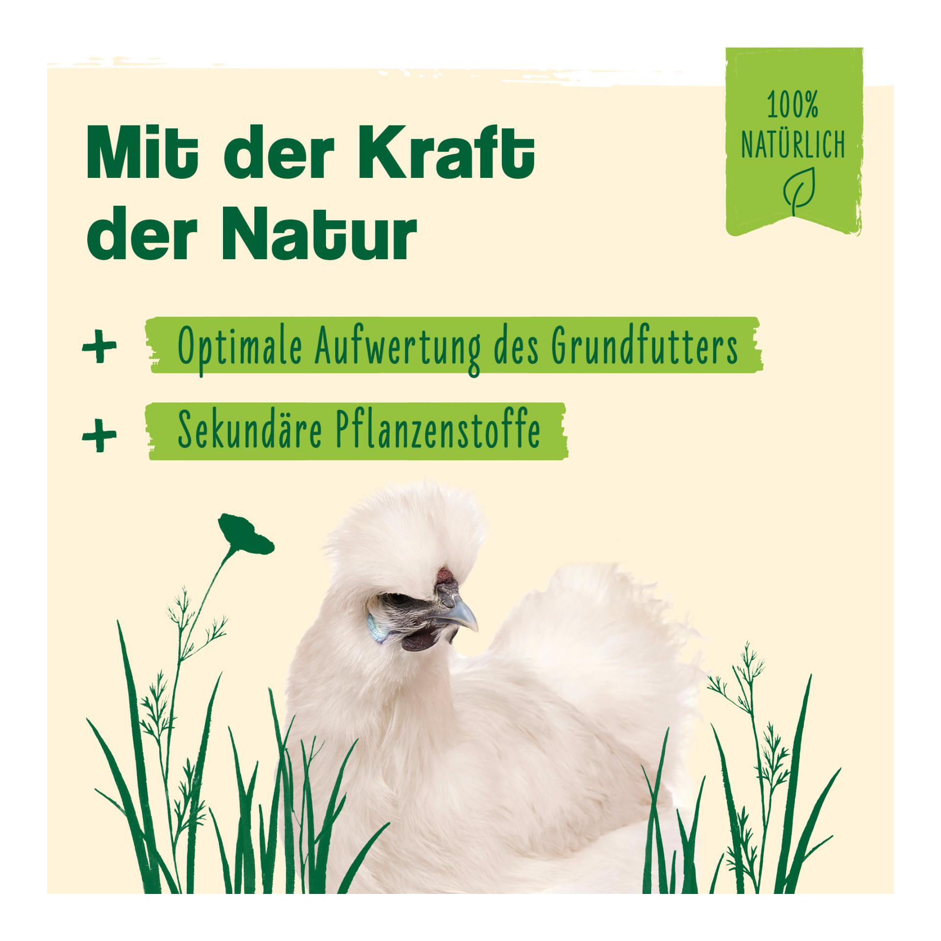 IdaPlus PowerHerbs - natürliche Kräuter-Kraft