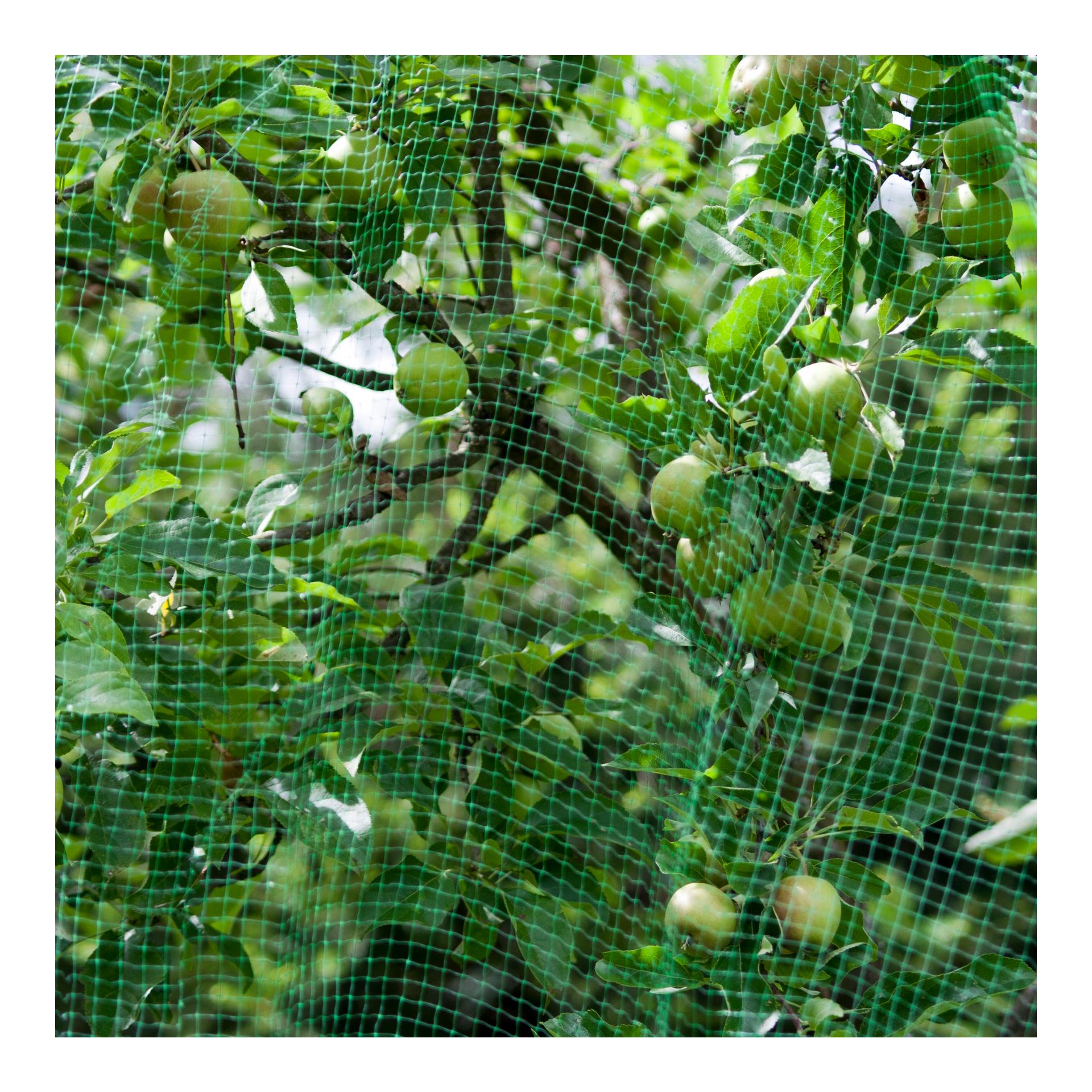 Windhager Filet de protection «OrtoNet», vert