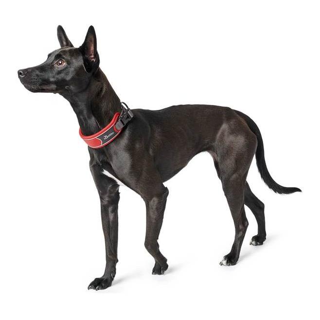 Hunter Collier Divo - rouge/gris