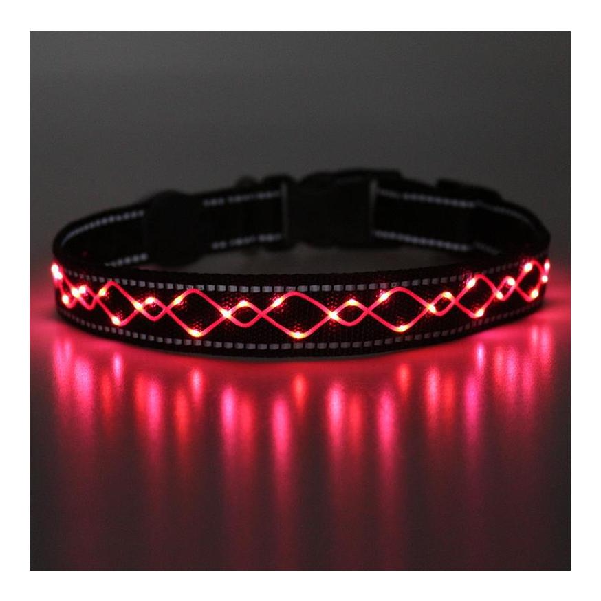 Collier lumineux pour chien "Beauty"