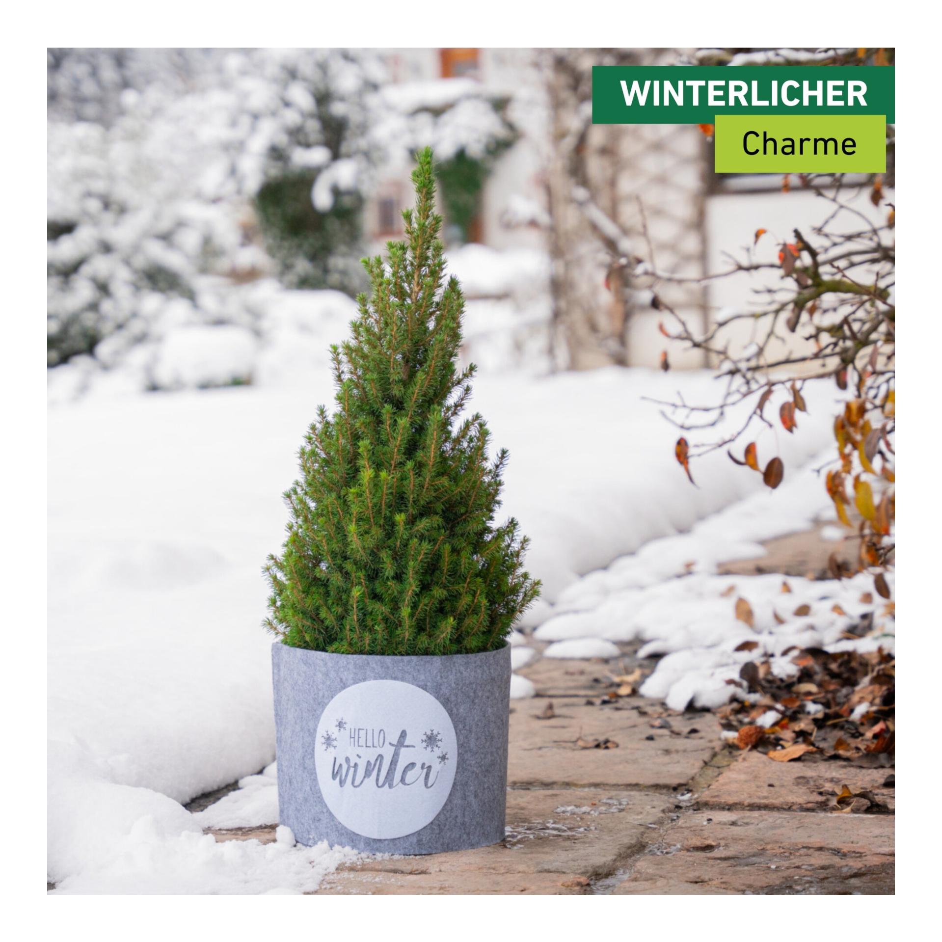 Windhager Deko-Filz-Topfschutz HELLO WINTER