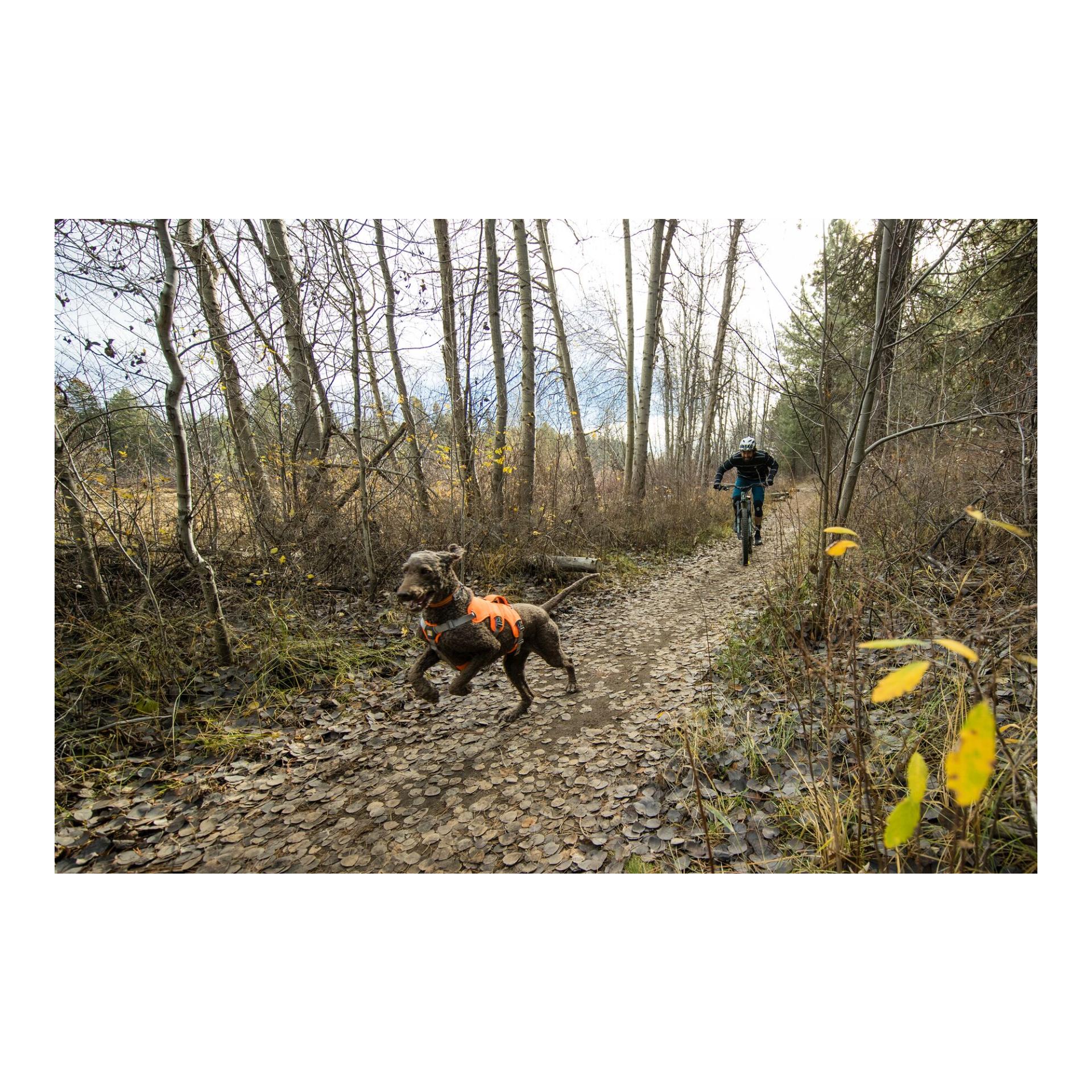 Ruffwear Web Master™ Geschirr