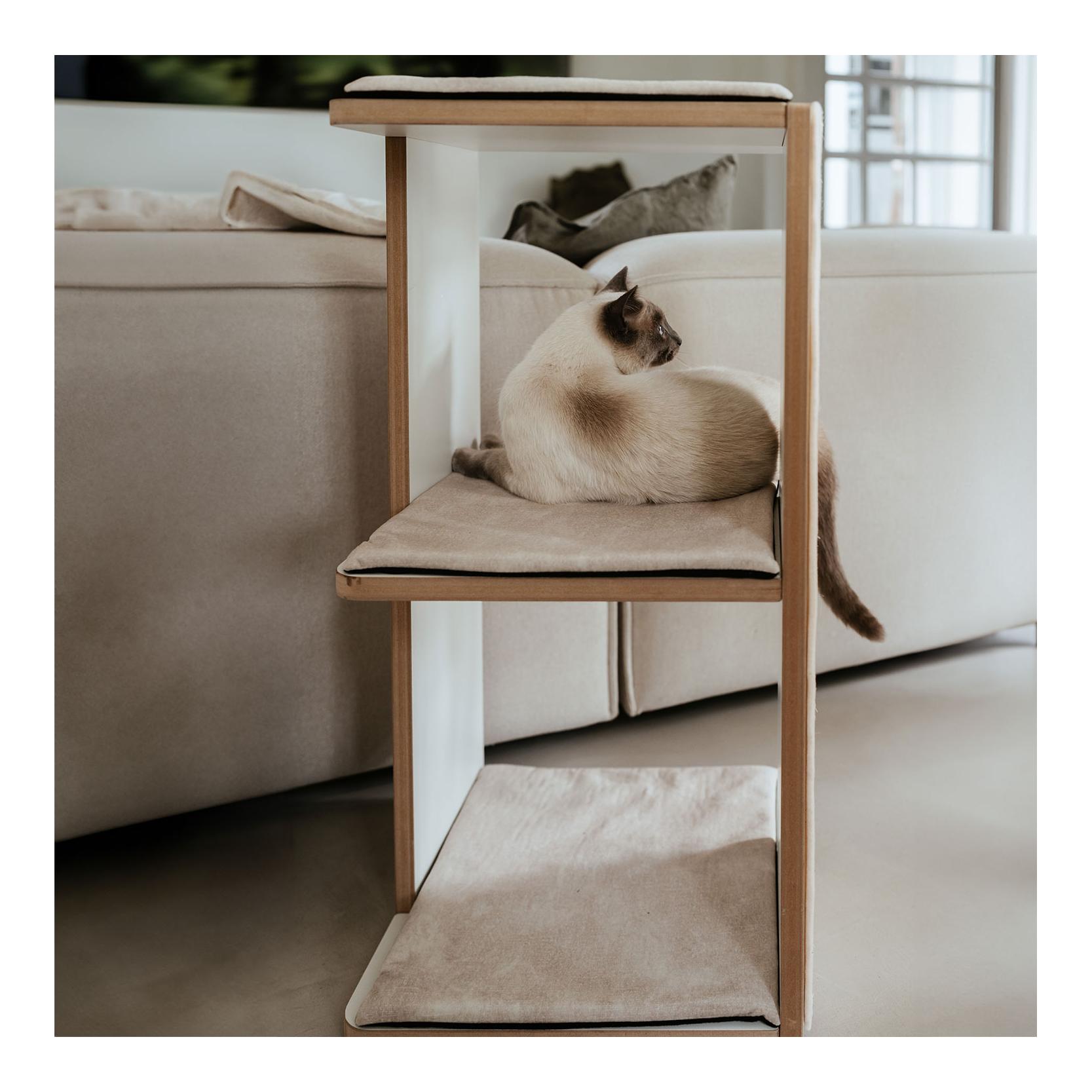 Stylecats by Hunter Kratzturm Tumba