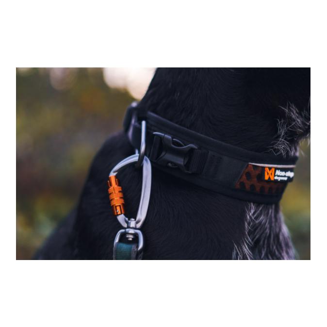 Non-stop Dogwear Rock Adjustable Collar