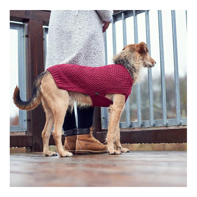 Hunter Pullover pour chien Malmö - bordeaux