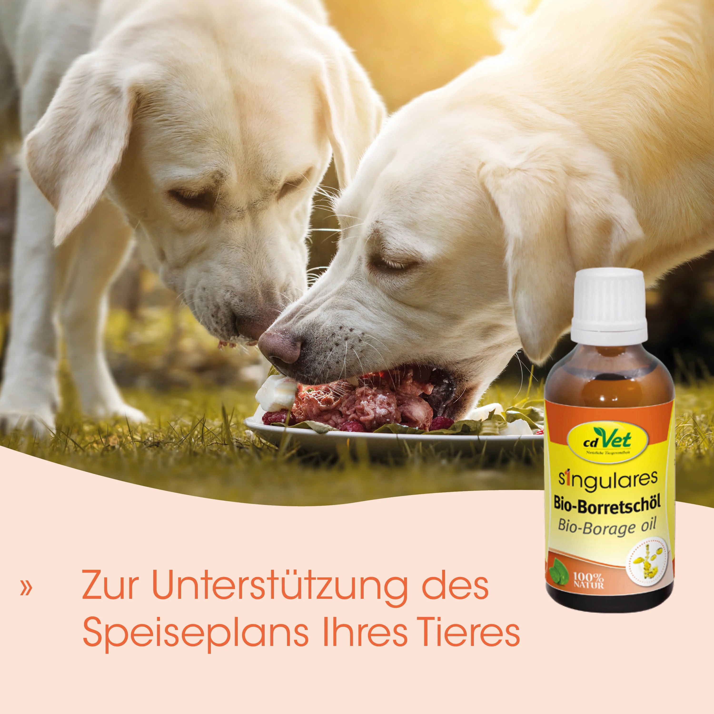 cdVet Huile de bourrache biologique unique