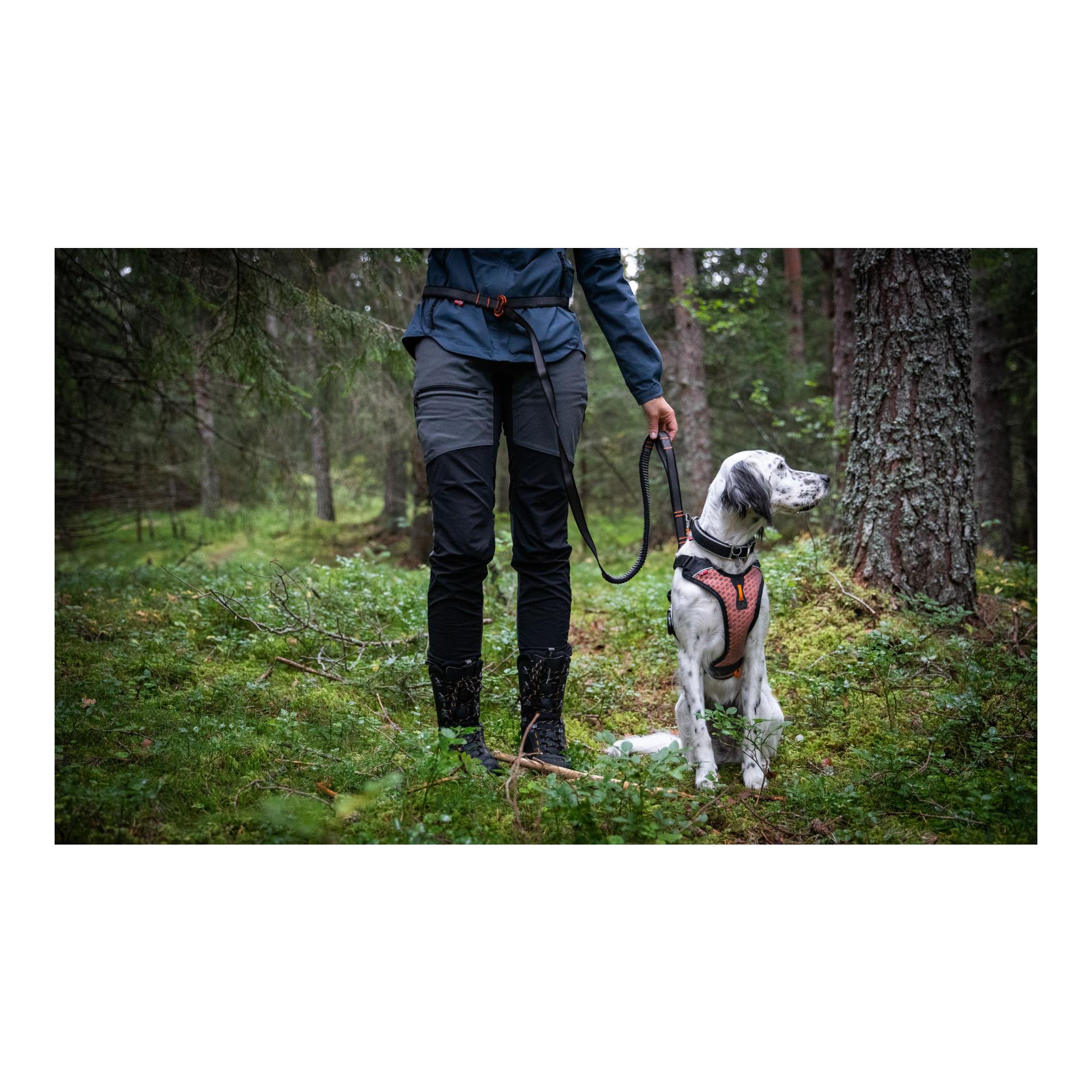 Non-stop Dogwear Hundeleine Touring Bungee Leash Adjustable