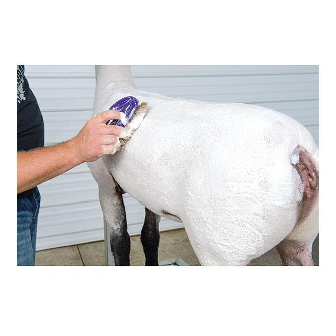 Weaver Livestock Brightening Shampoo