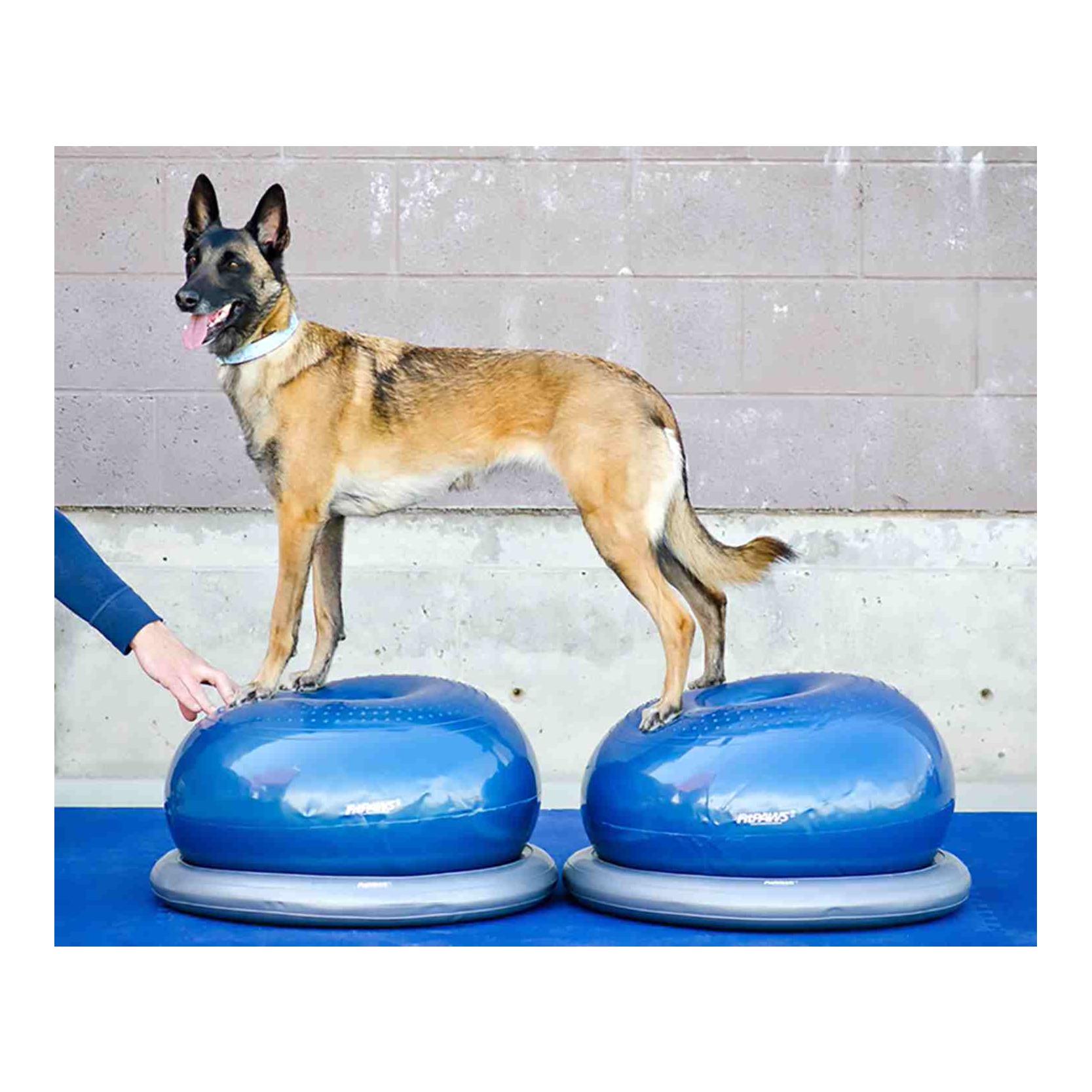 FitPaws FitPAWS Donut