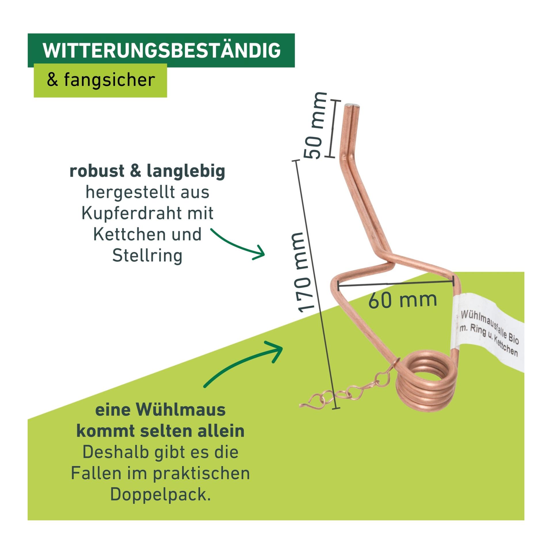 Windhager Piège à campagnols Standard